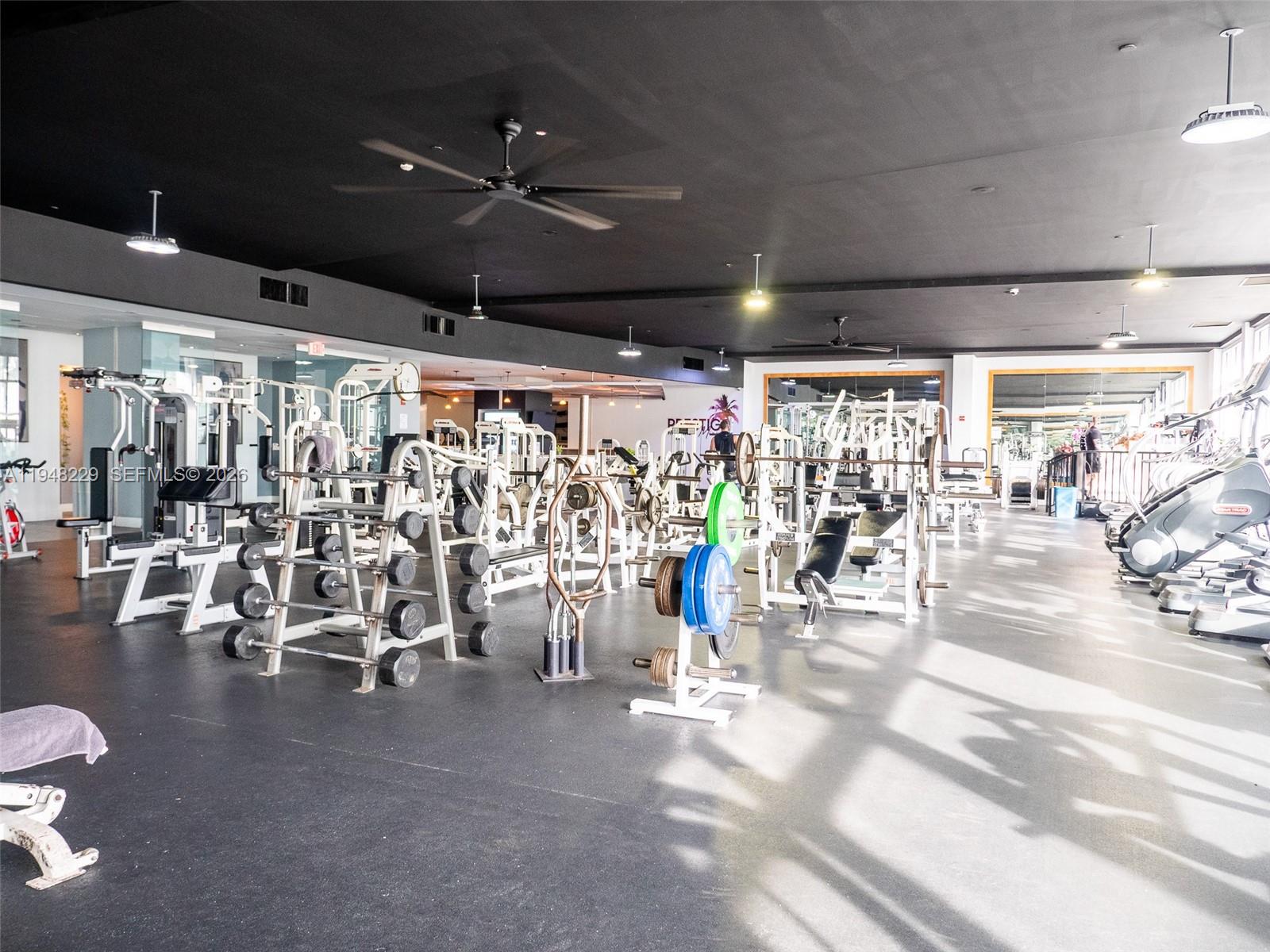 image Mirador East19