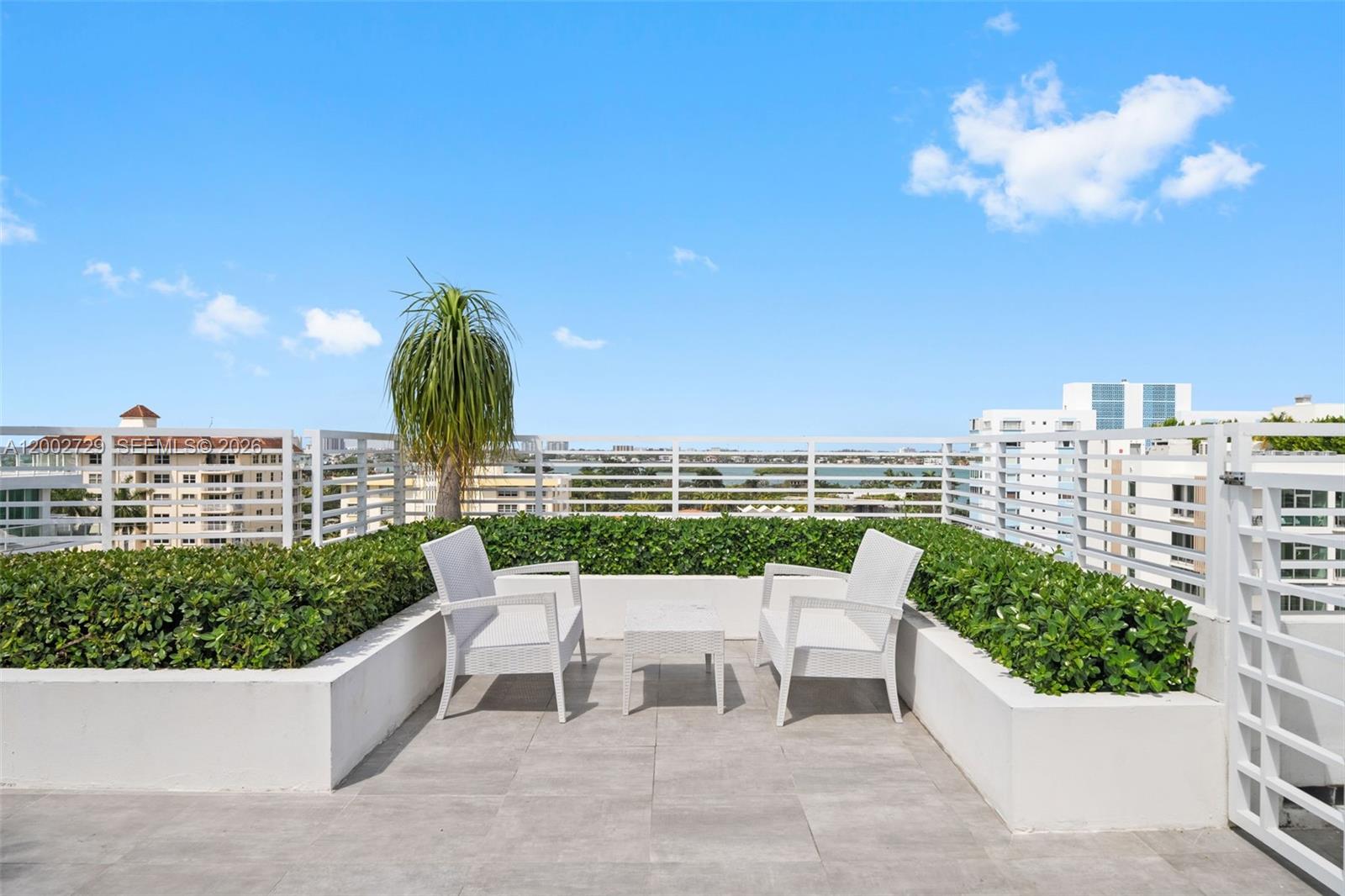 image The Palms37