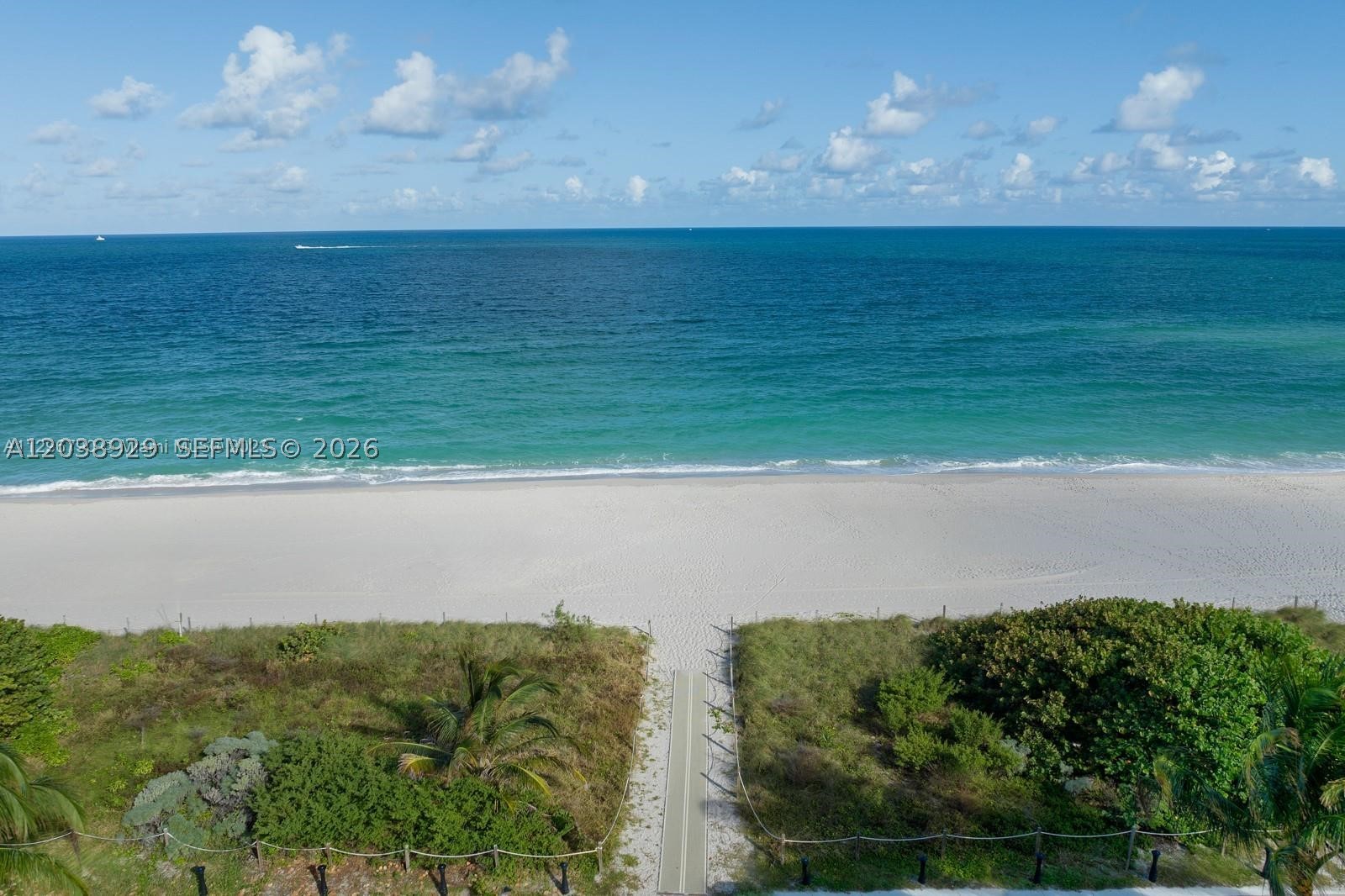 image Eighty Seven Park18
