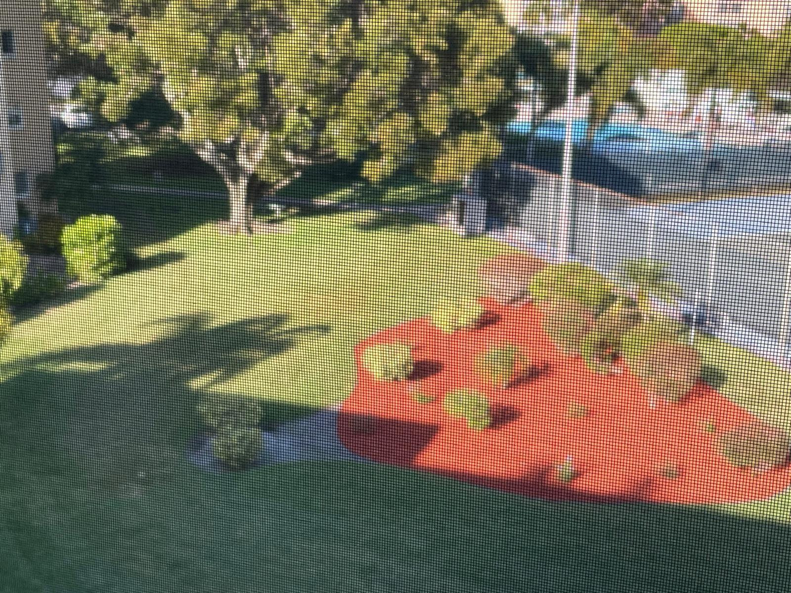 2520 NE 1st #411 Boynton Beach, FL 33435