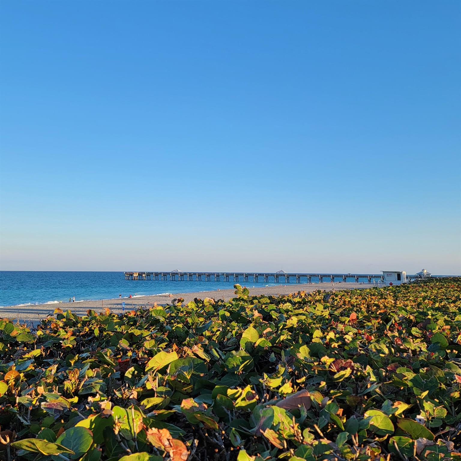 825 Center St #14a Jupiter, FL 33458