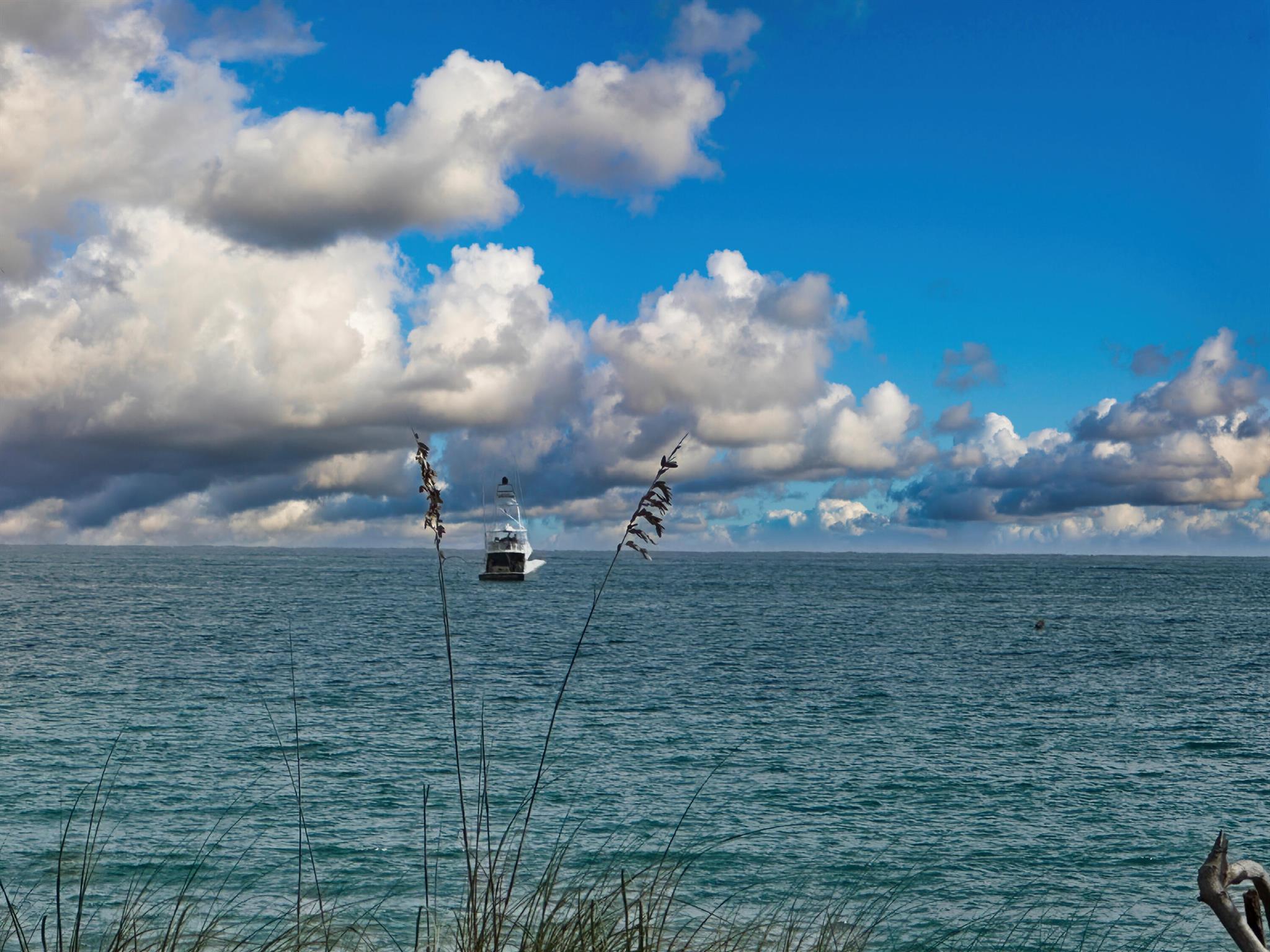 4200 N Surf Rd Hollywood, FL 33019