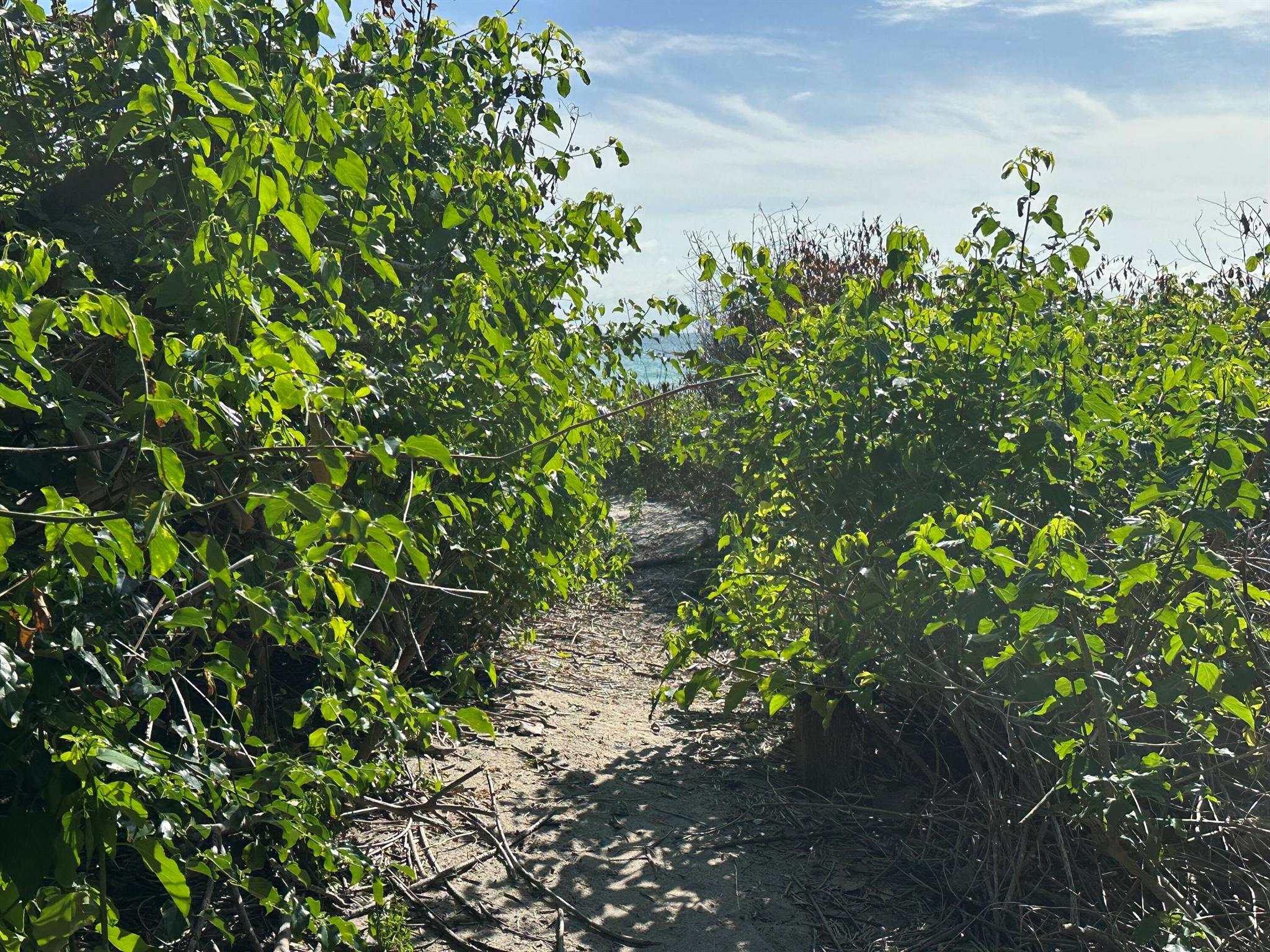 4200 N Surf Rd Hollywood, FL 33019