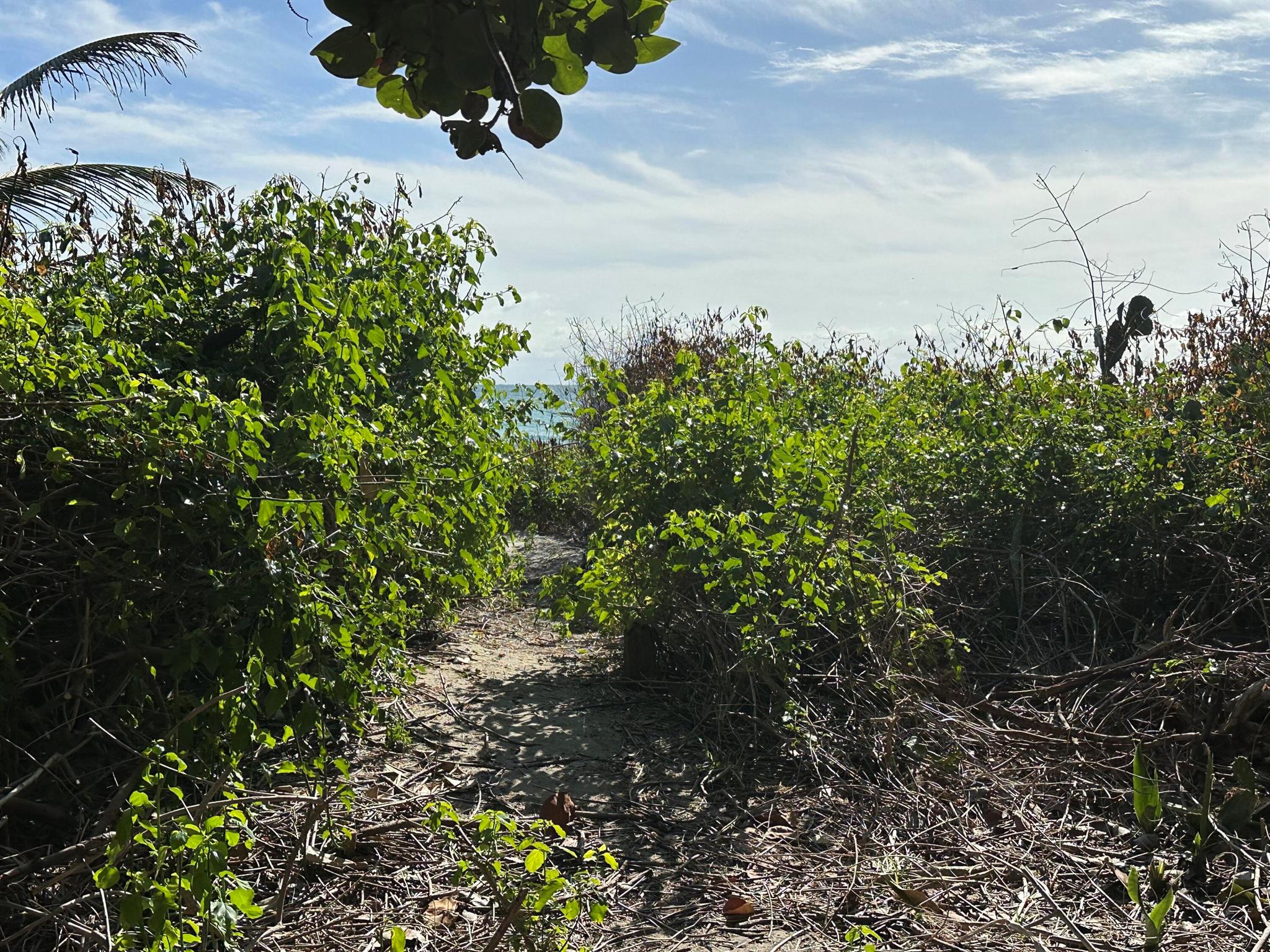 4200 N Surf Rd Hollywood, FL 33019