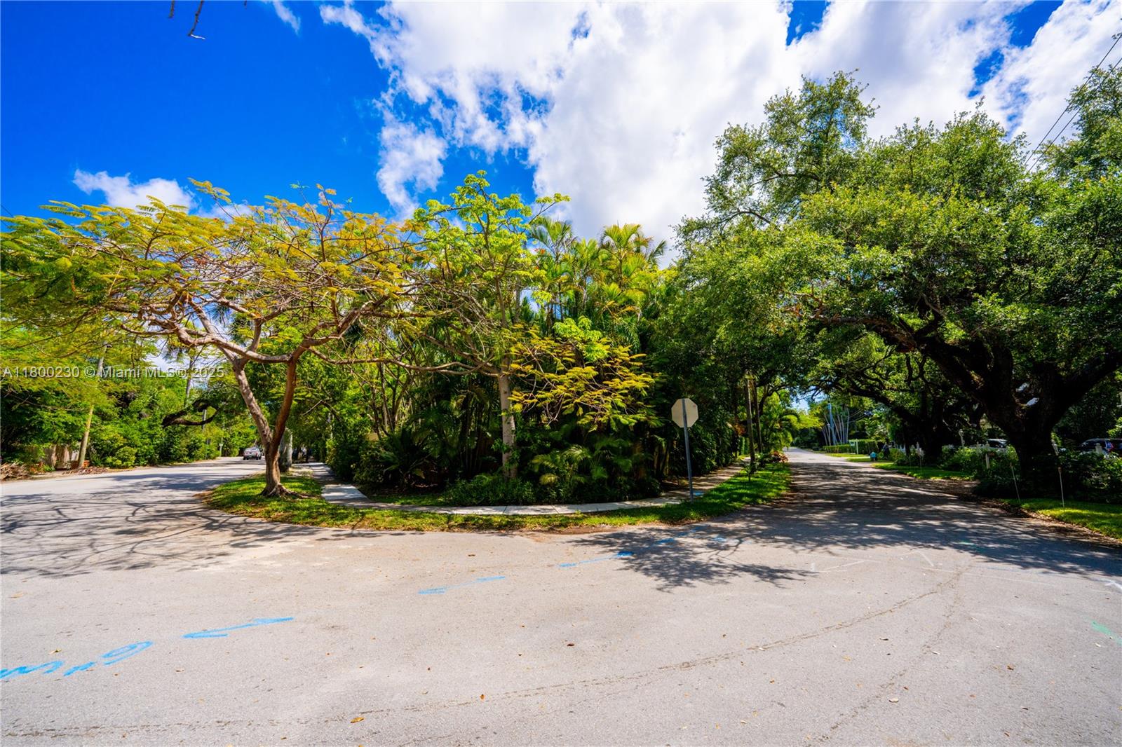 2855 SW 17th Ave Miami, FL 33133