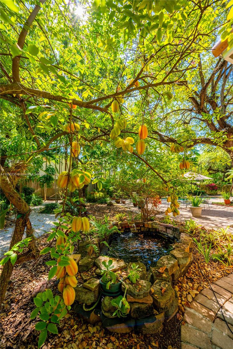 2855 SW 17th Ave Miami, FL 33133