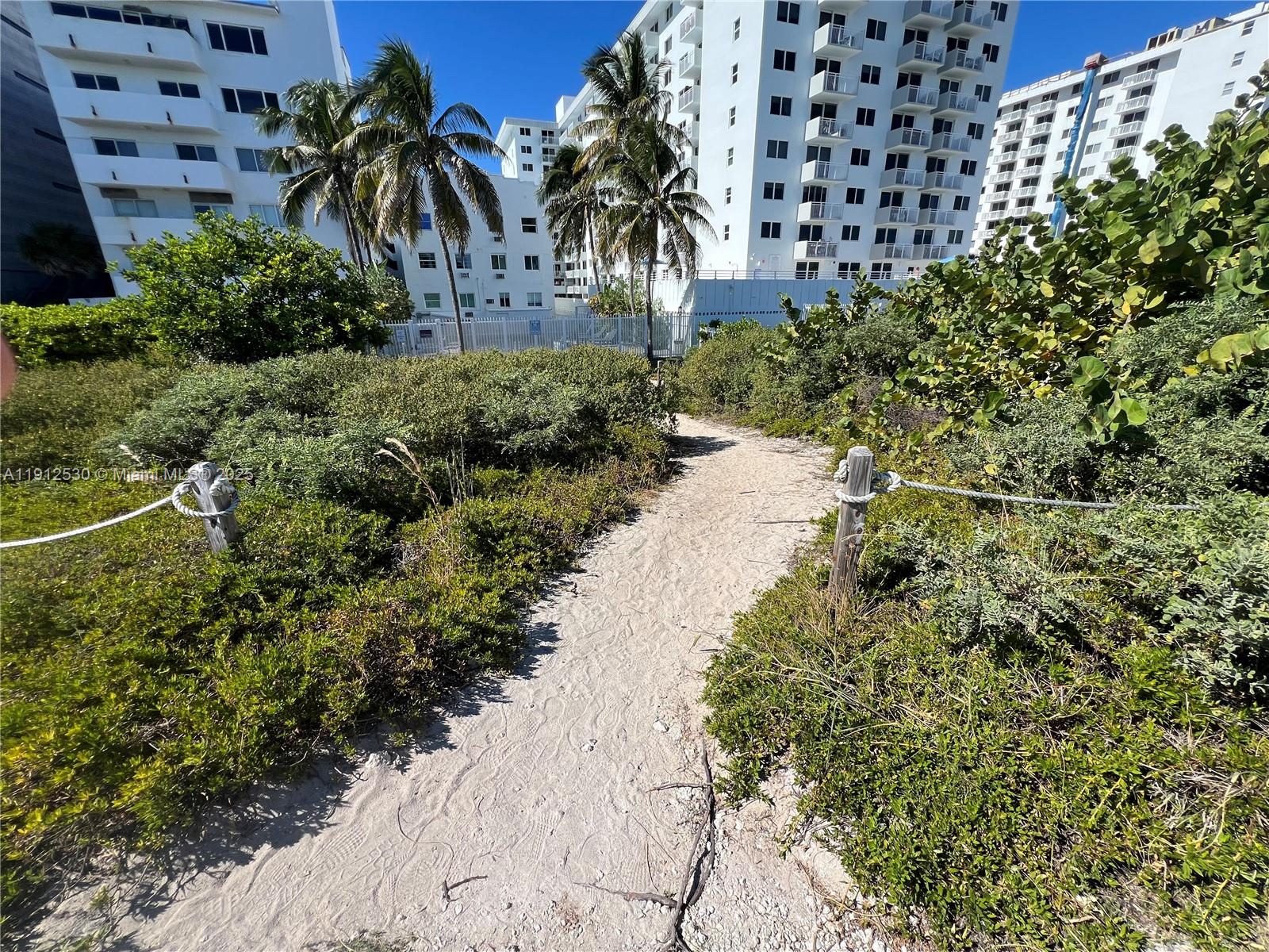 335 Ocean Dr #239 Miami Beach, FL 33139