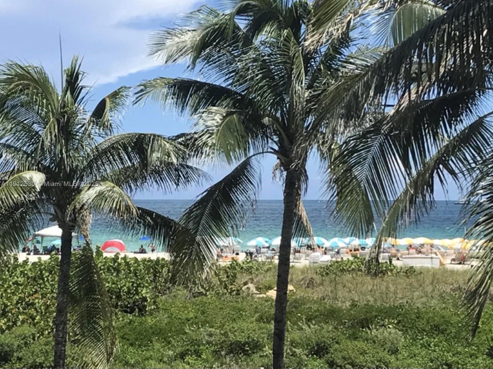 335 Ocean Dr #239 Miami Beach, FL 33139