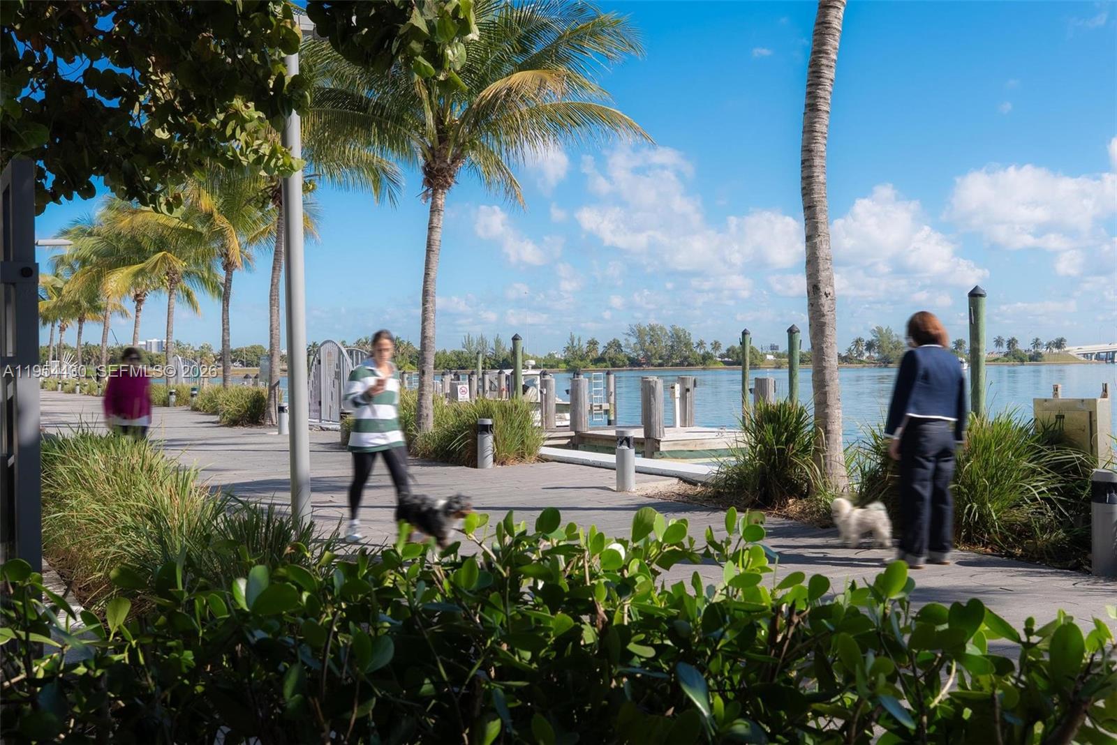 3131 NE 7th Ave #UPH5303 Miami, FL 33137