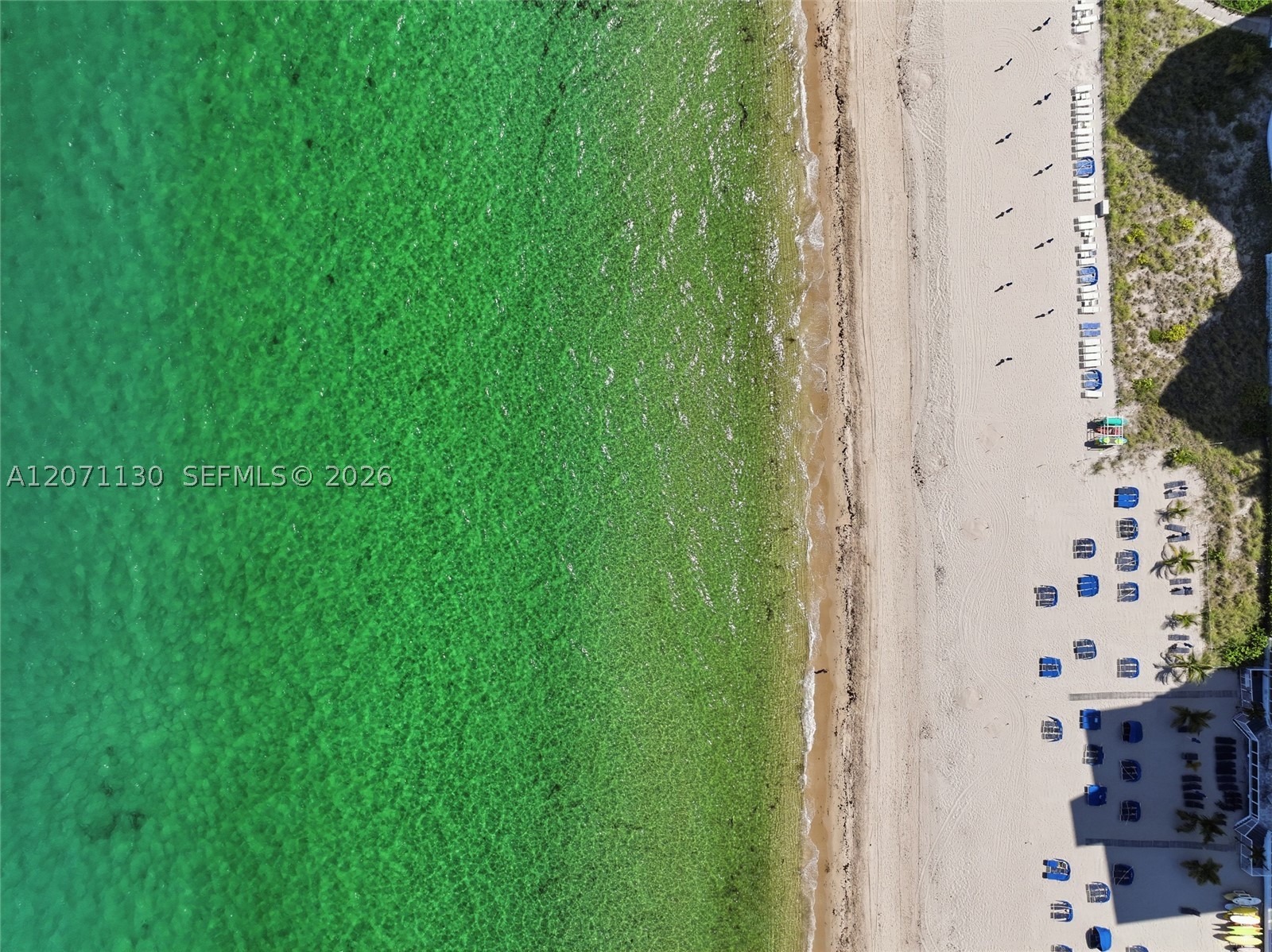 3700 Galt Ocean Dr #1710 Fort Lauderdale, FL 33308