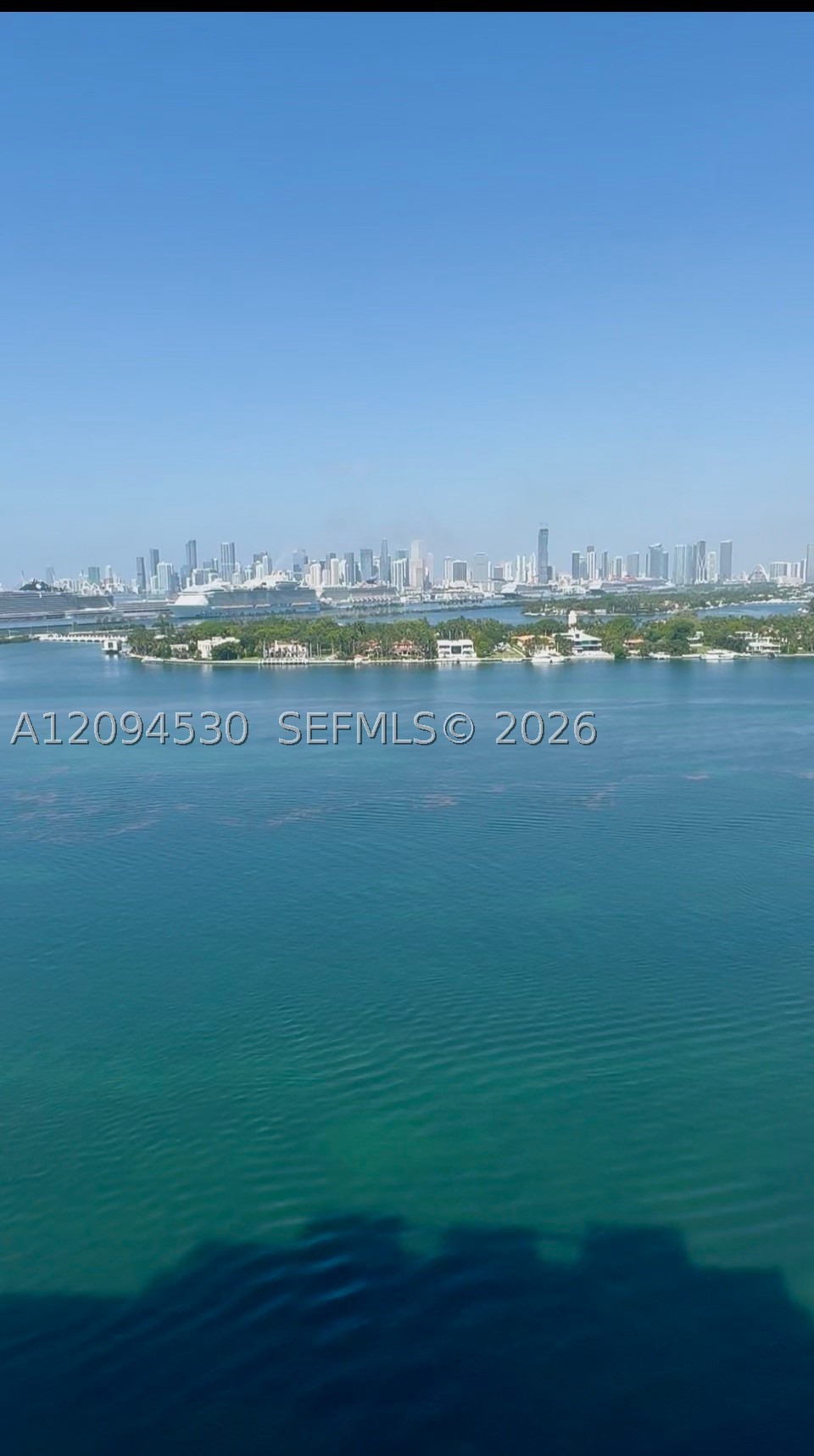 image The Floridian16