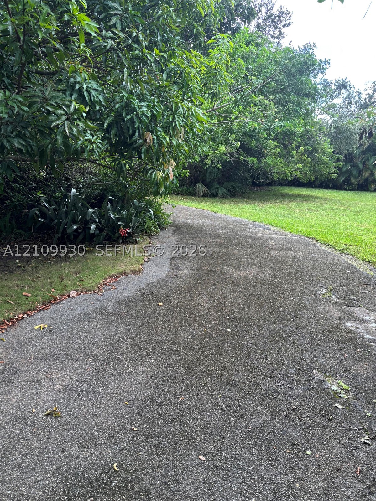9300 SW 61st Pinecrest, FL 33156