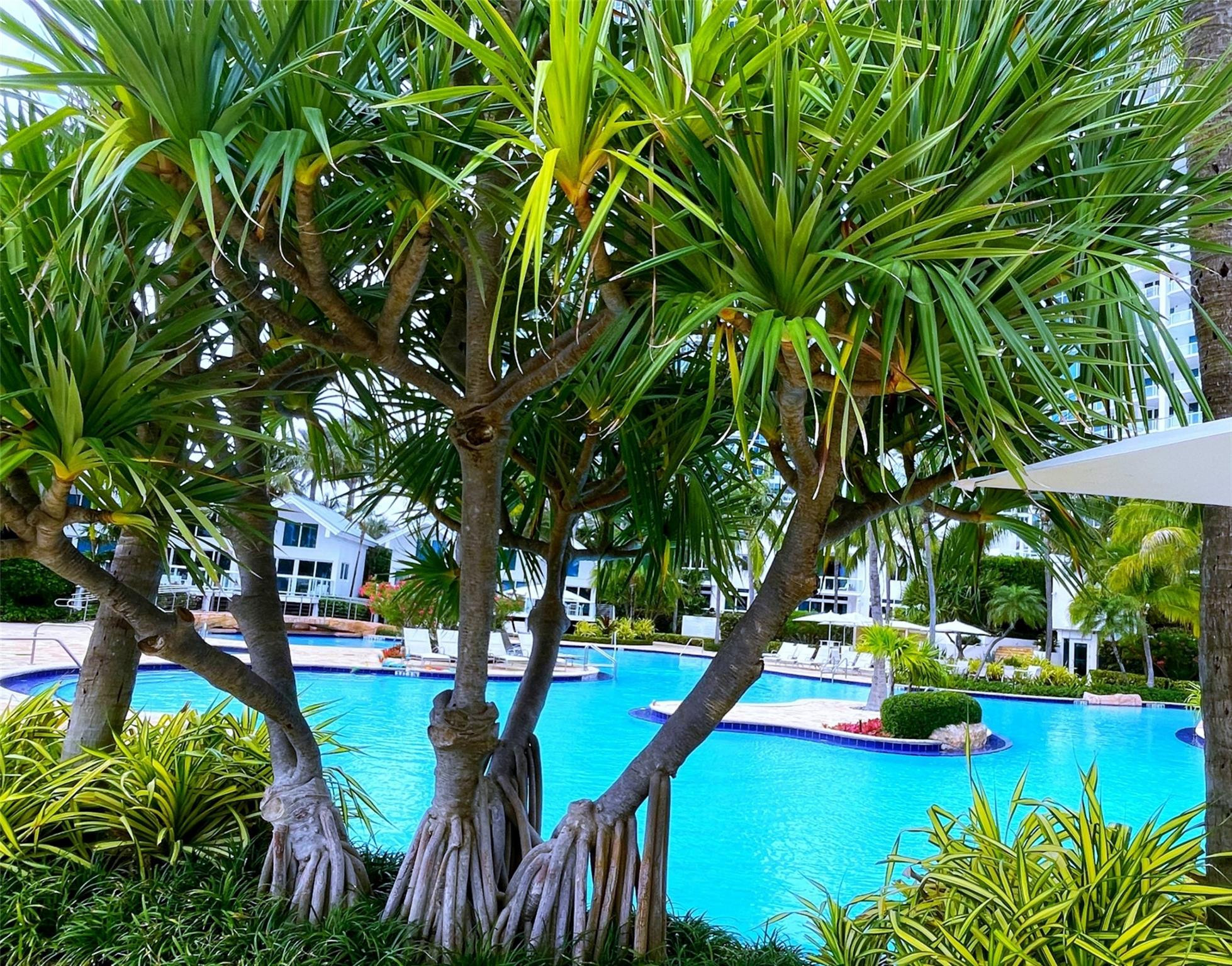 image Continuum South Beach South Tower21