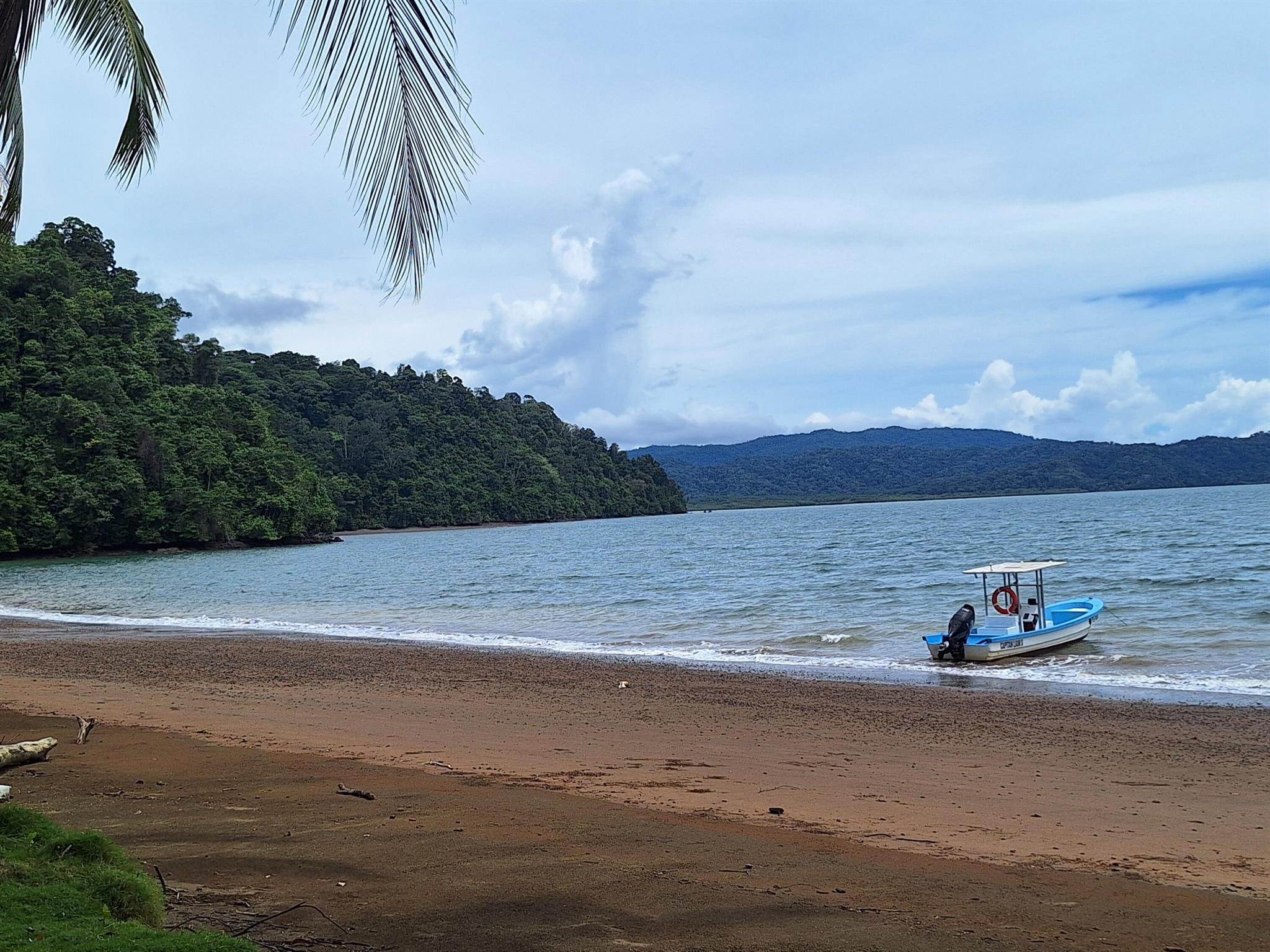 10848 Blue Sky Of The Tropic Sa