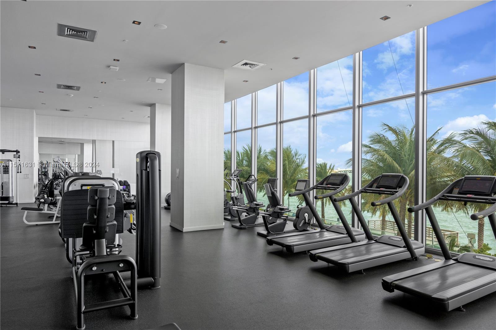 image Biscayne Beach43