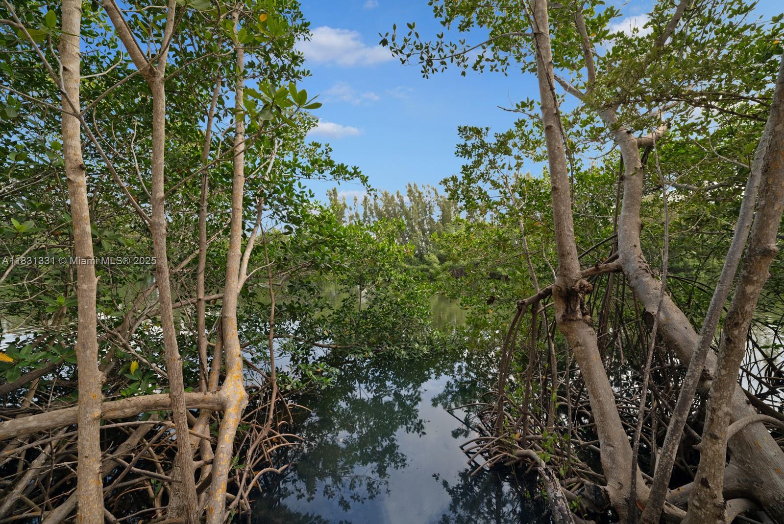 6226 Paradise Pt Dr Palmetto Bay, FL 33157