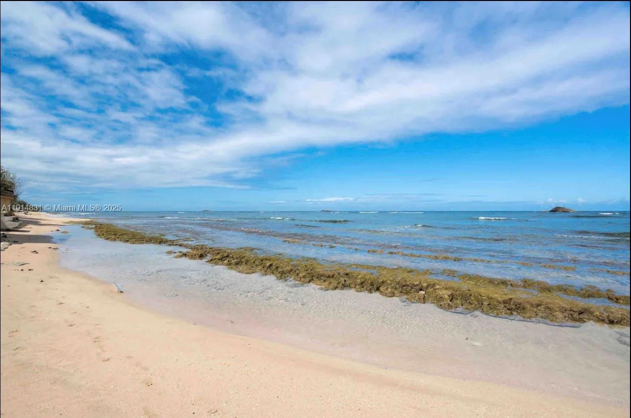 78 Jaime Brull Vega Baja, PR, 693