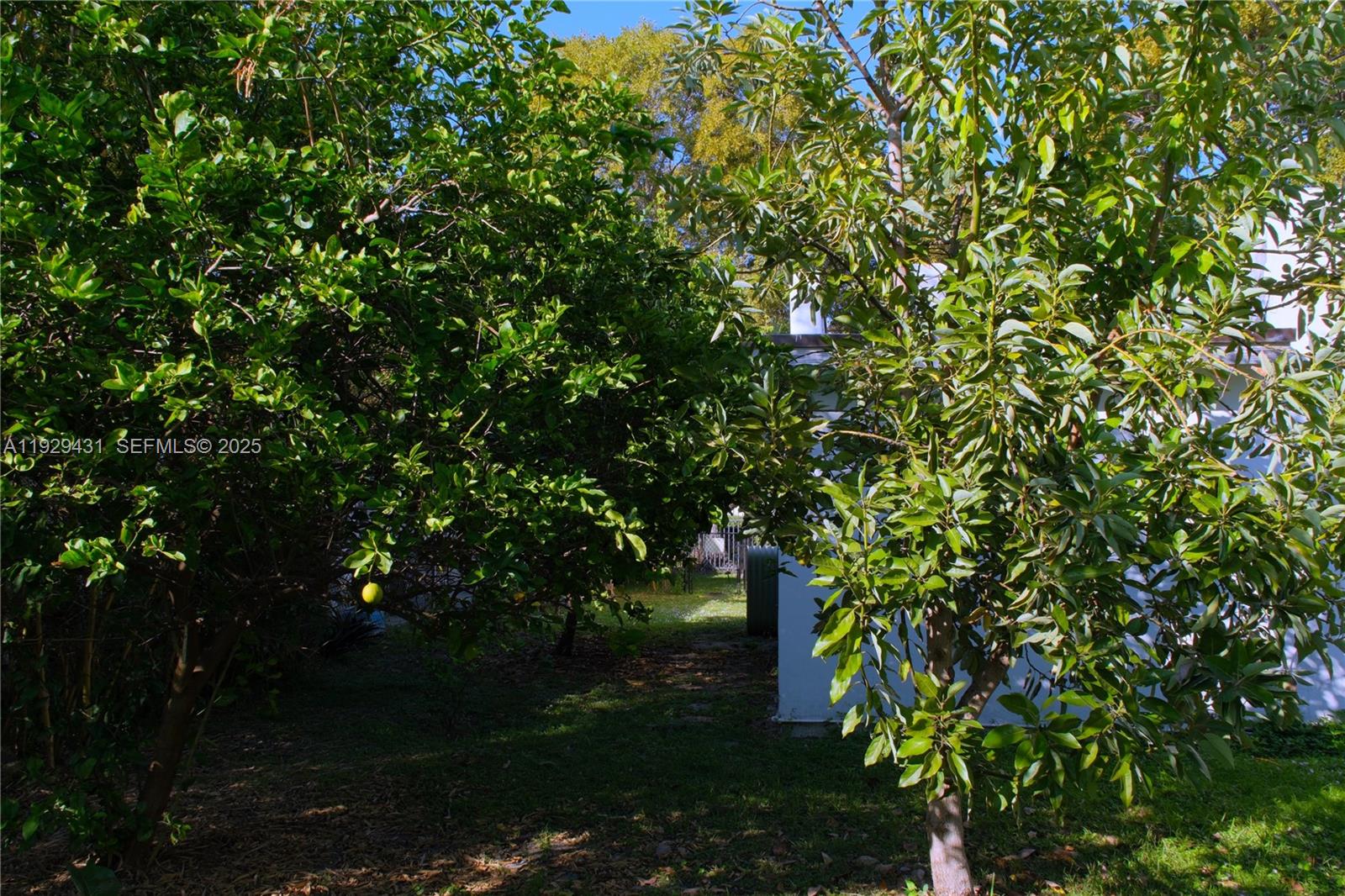 2818 SW 19th St Miami, FL 33145