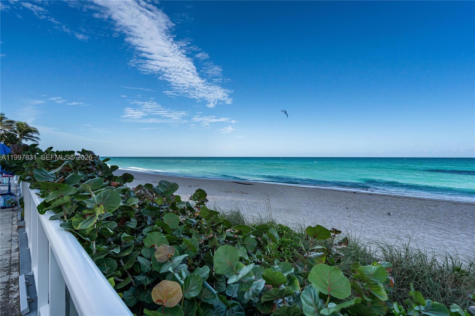 19201 Collins Ave #324 Sunny Isles Beach, FL 33160