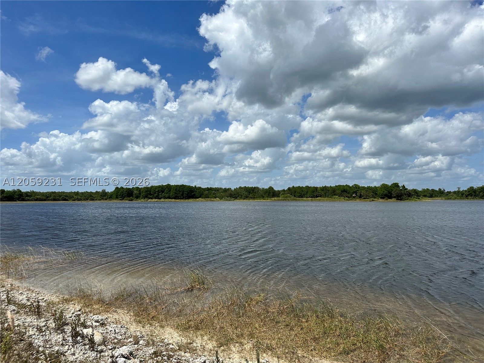 515 Shady Holw Blvd W Naples, FL 34120
