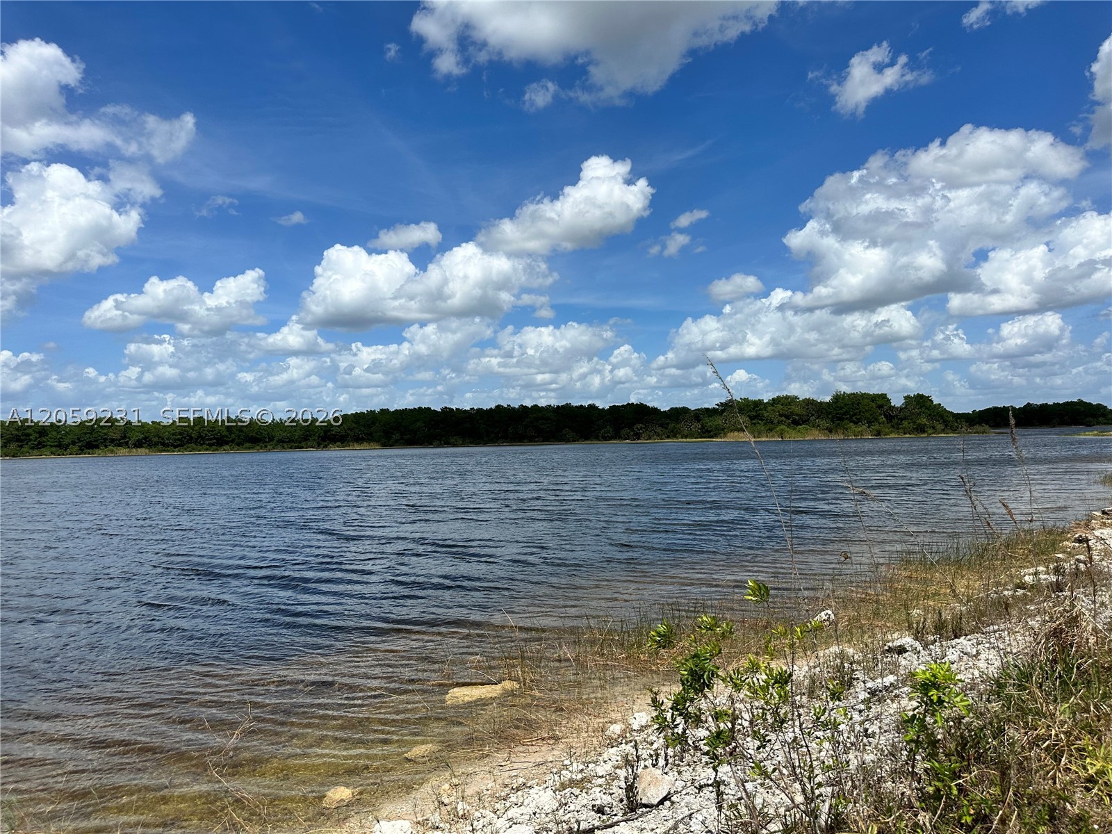 515 Shady Holw Blvd W Naples, FL 34120