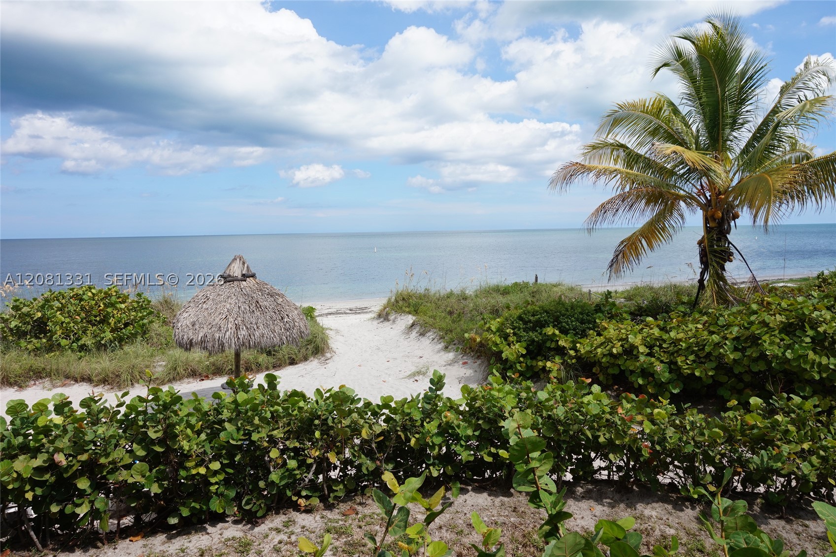 image Towers of Key Biscayne35