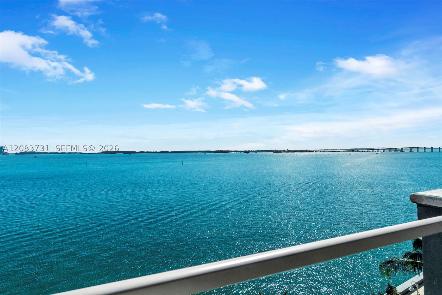 image The Mark on Brickell45