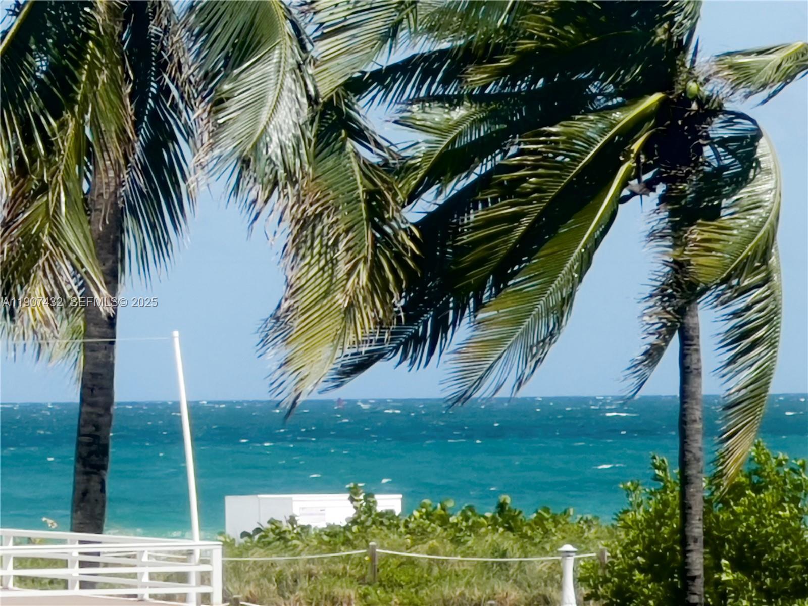 345 Ocean Dr #209 Miami Beach, FL 33139