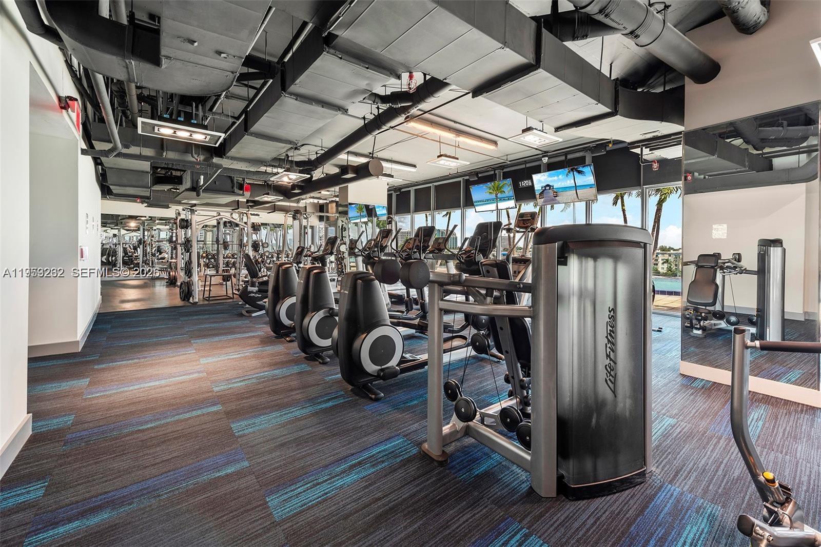 image Blue on the Bay40