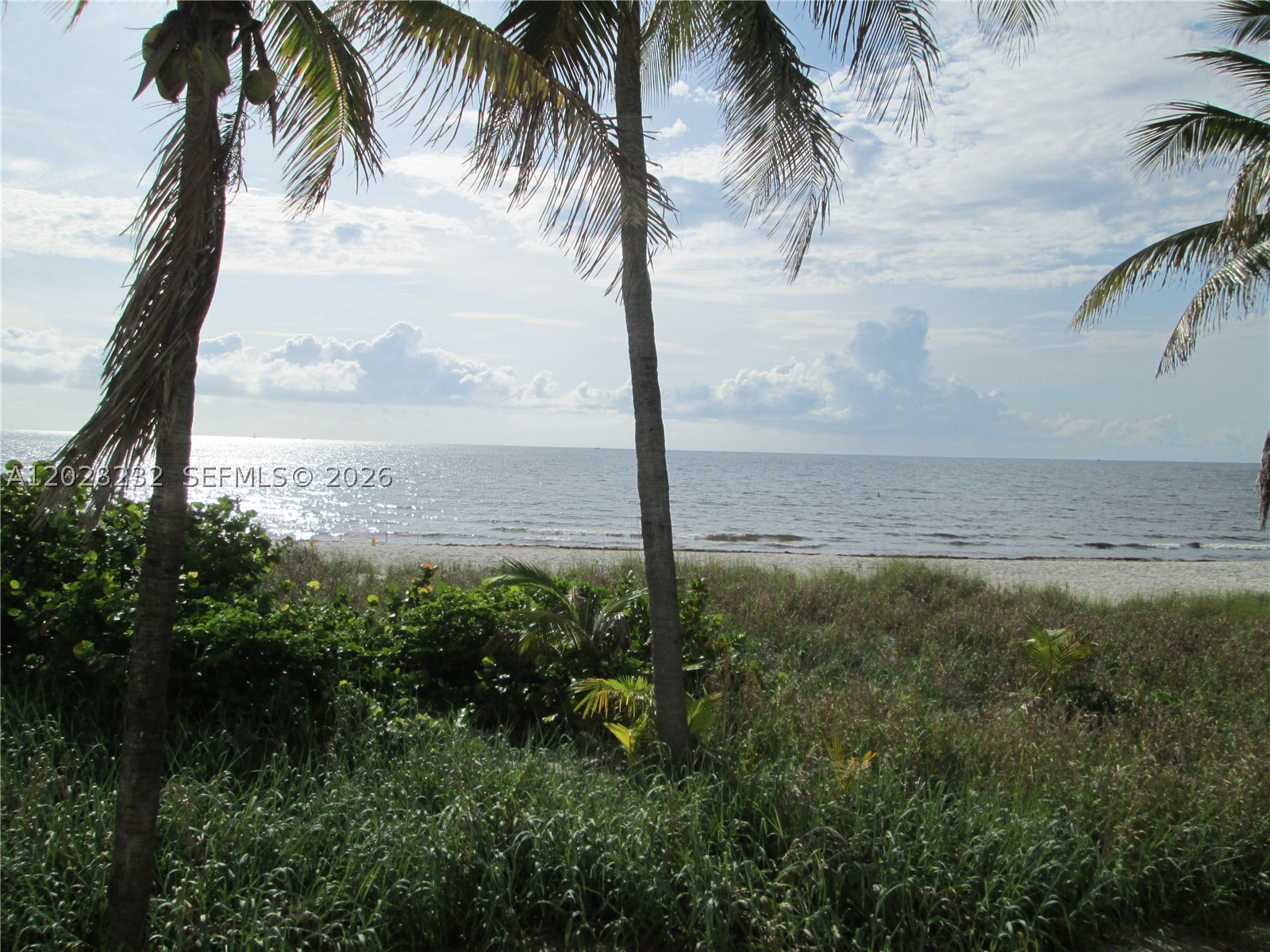 1370 S Ocean Blvd #1206 Pompano Beach, FL 33062