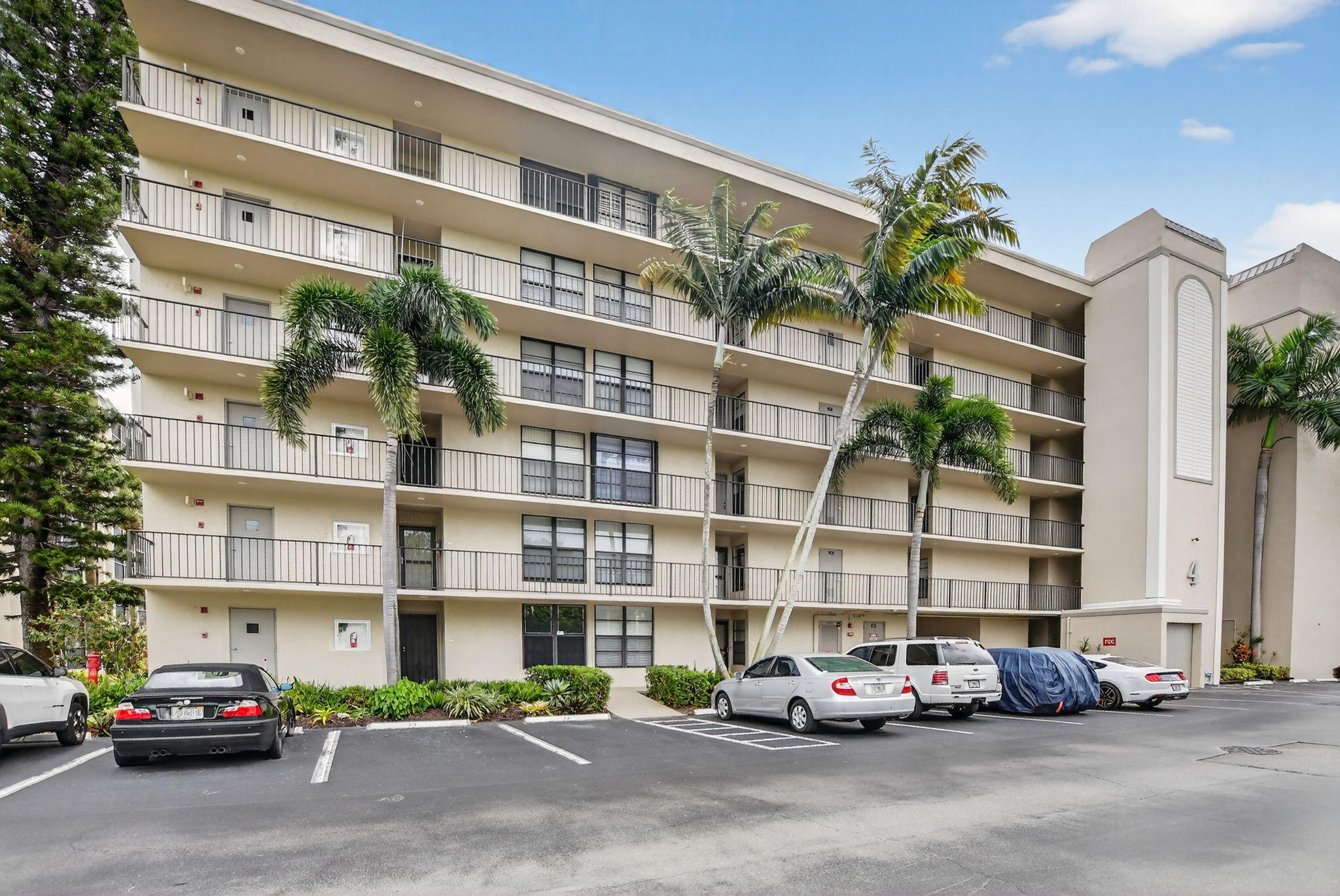 4 Royal Palm #601
