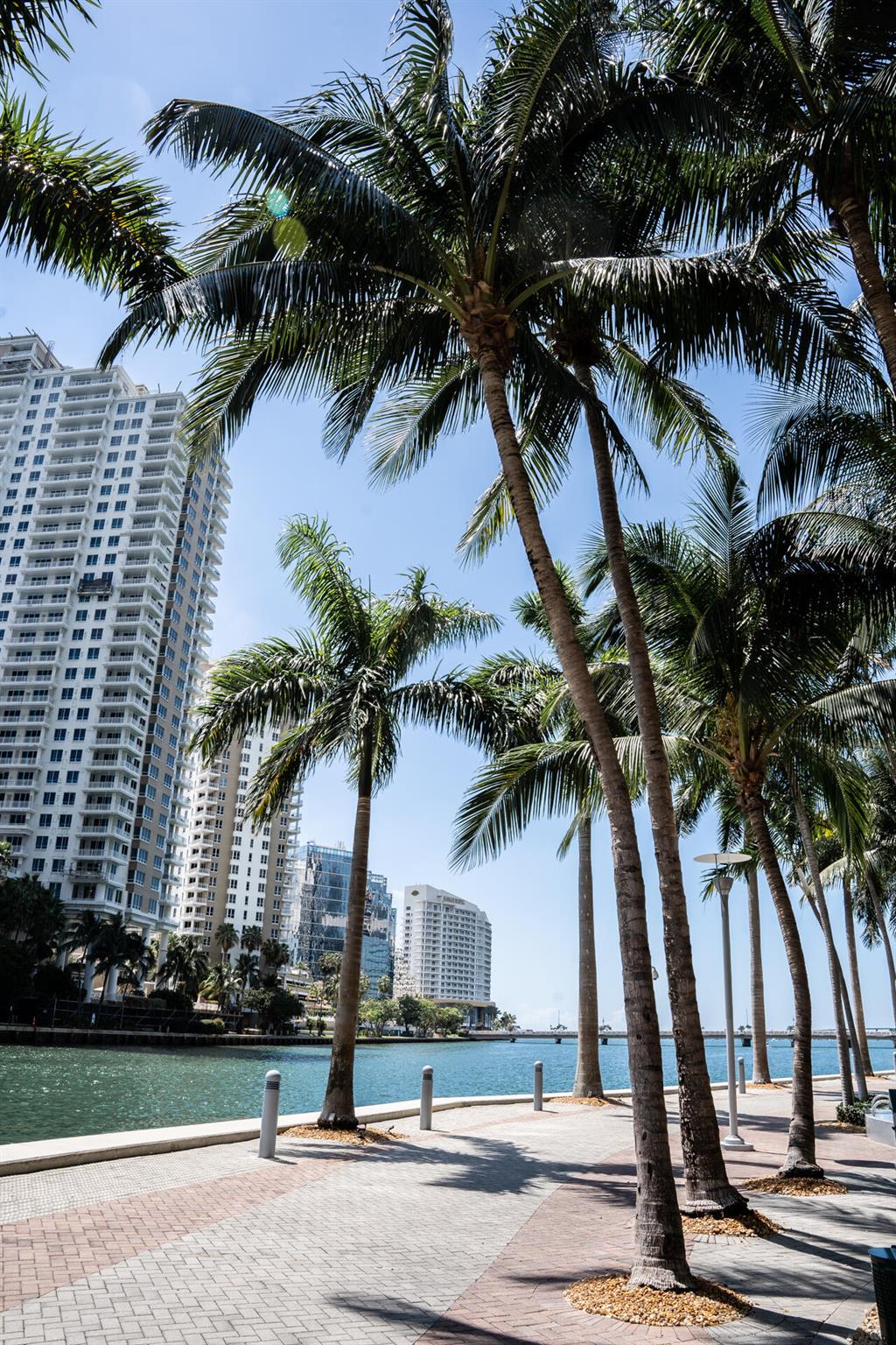 image Icon Brickell II20