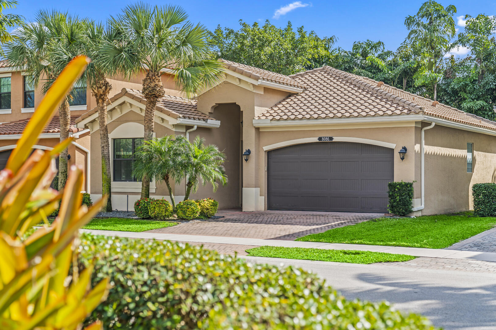 8086 Rainforest Jasper