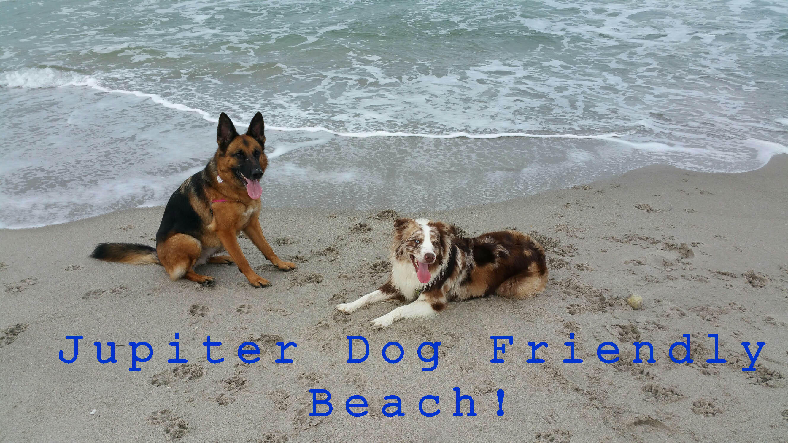 603 Xanadu Jupiter, FL 33477