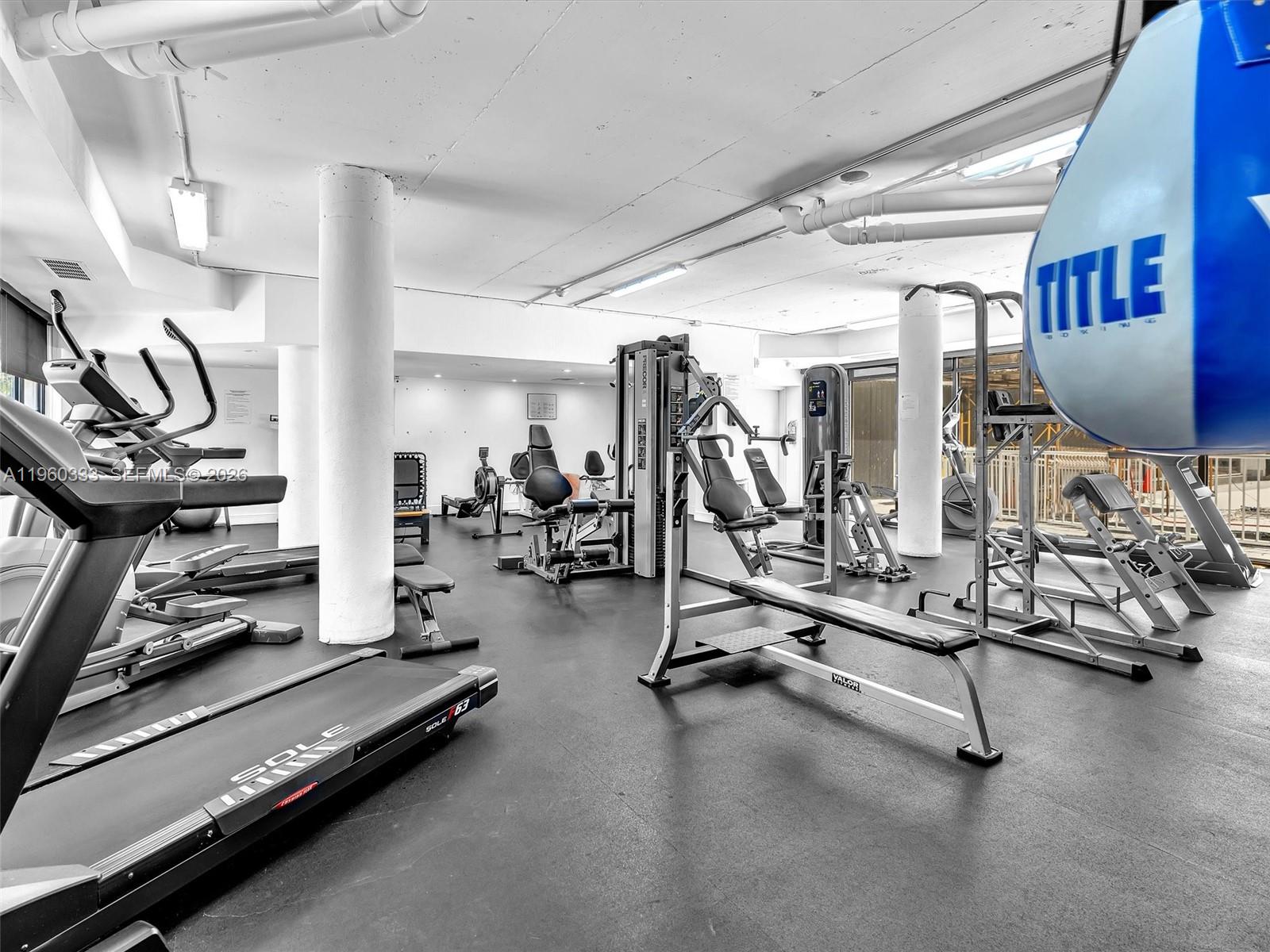 6423 Collins Ave #409 Miami Beach, FL 33141