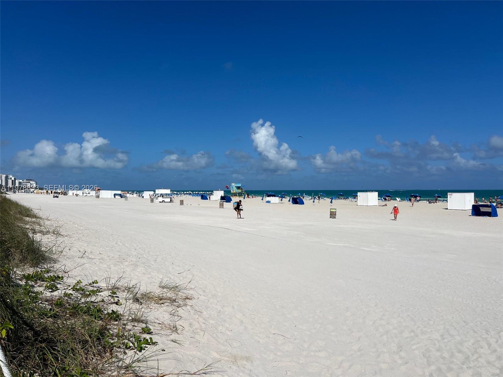 1390 Ocean Dr #101 Miami Beach, FL 33139