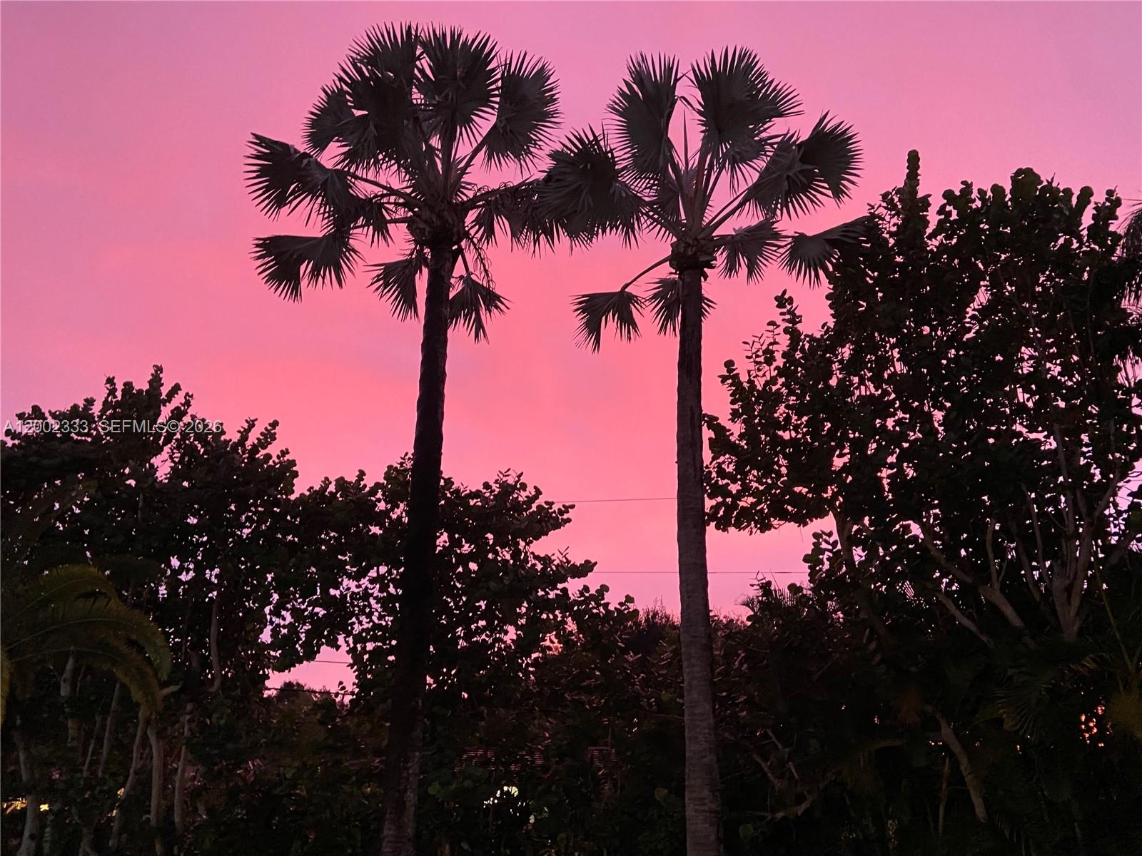 9840 SW 69th Ave Pinecrest, FL 33156