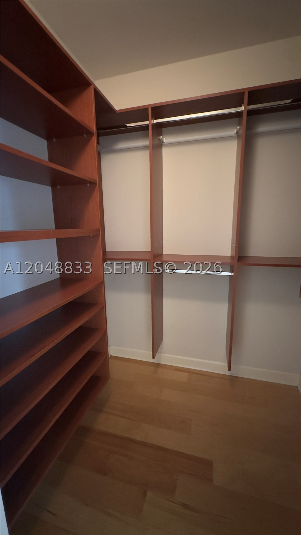 image Carbonell10