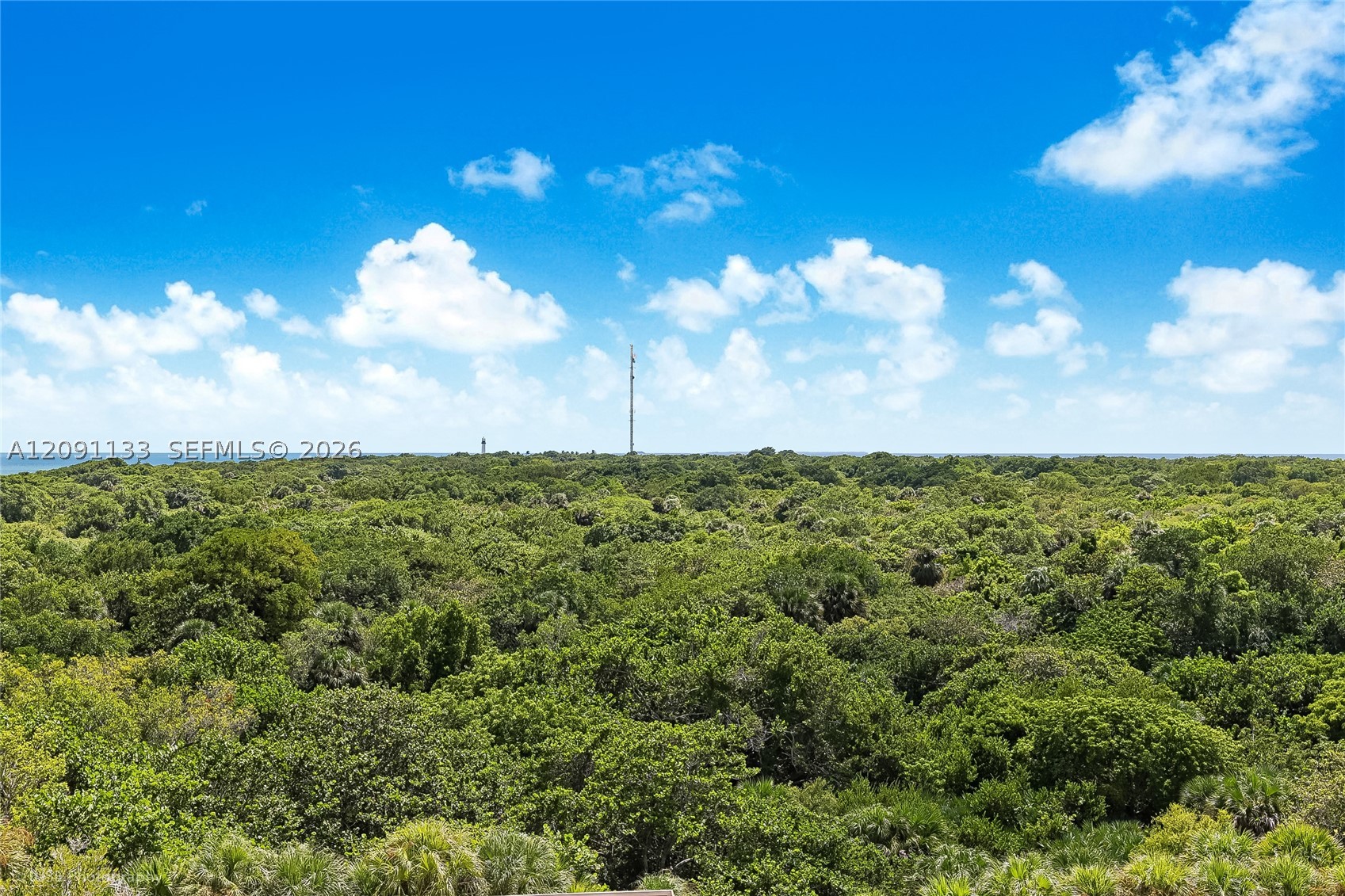 image Towers of Key Biscayne15
