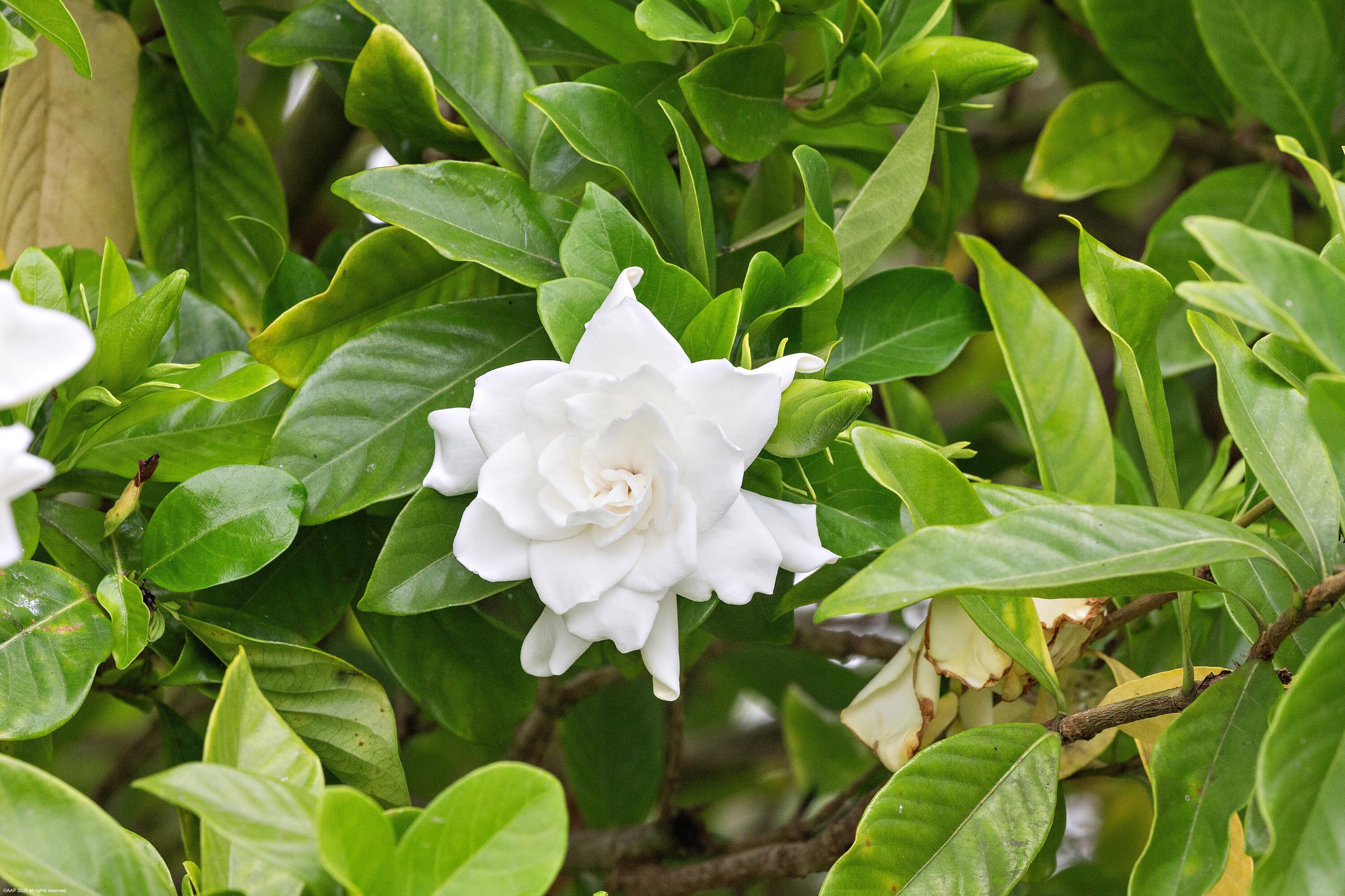 2990 SW Twin Oaks Wellington, FL 33414