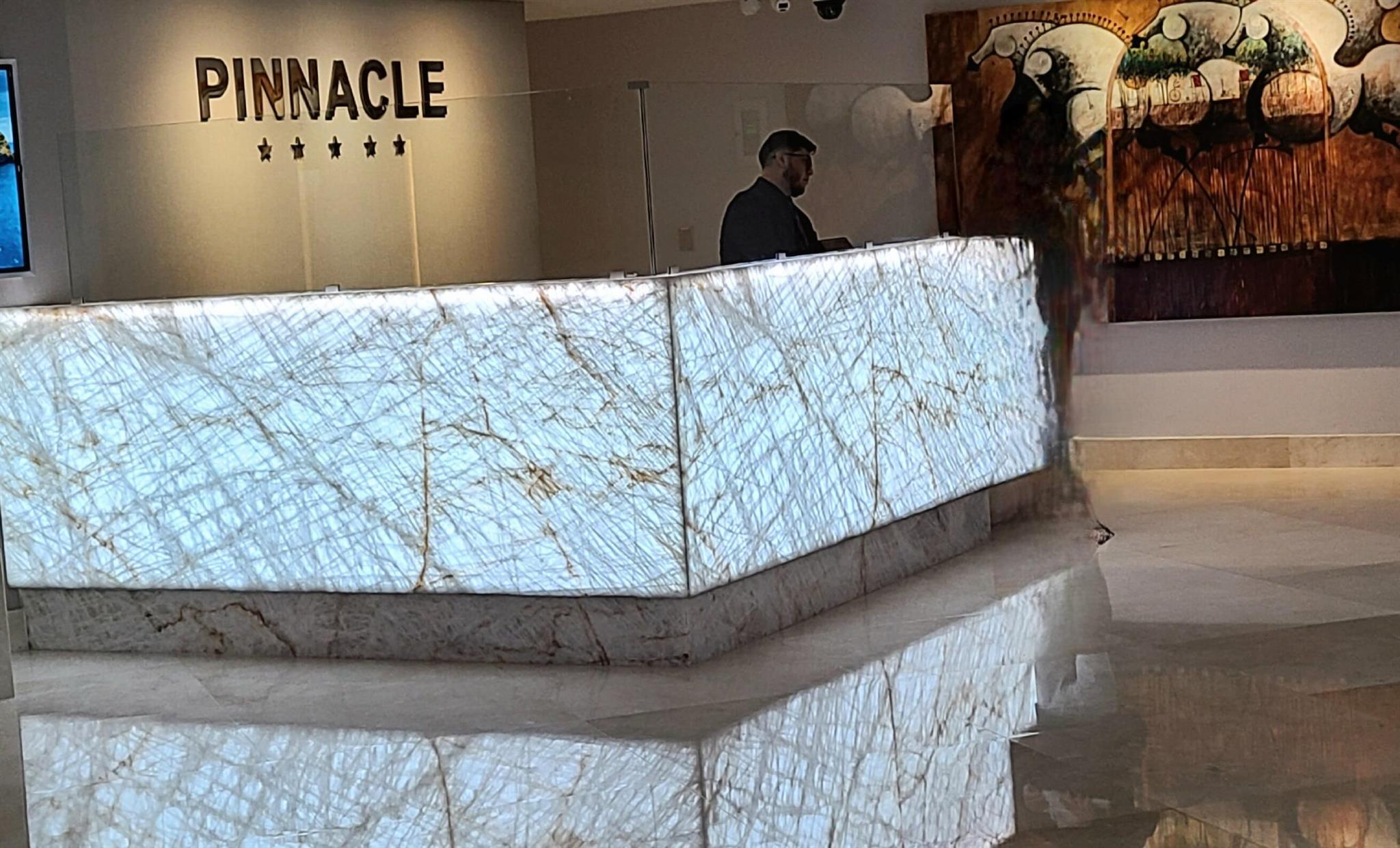 image THE PINNACLE CONDO2