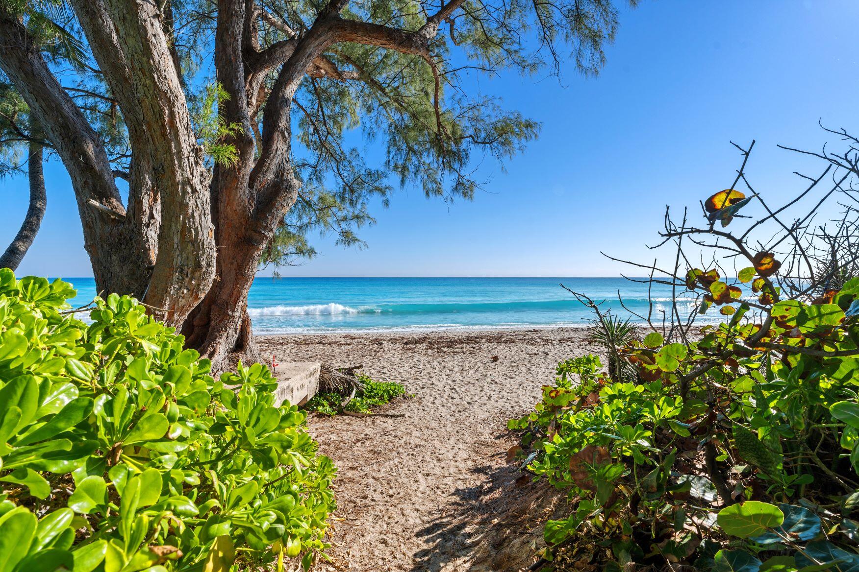 224 Sandpiper Palm Beach, FL 33480