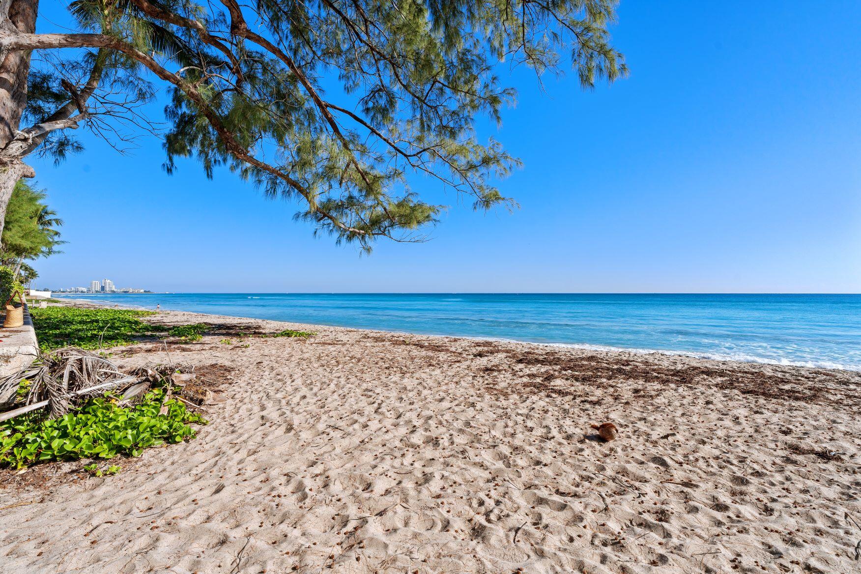 224 Sandpiper Palm Beach, FL 33480