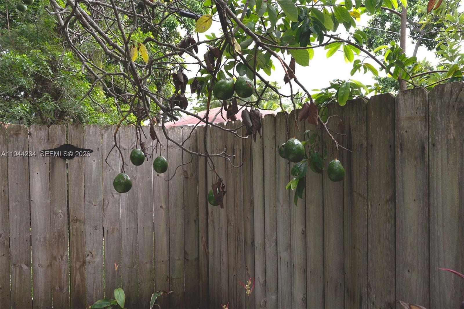 260 NW 133rd St North Miami, FL 33168