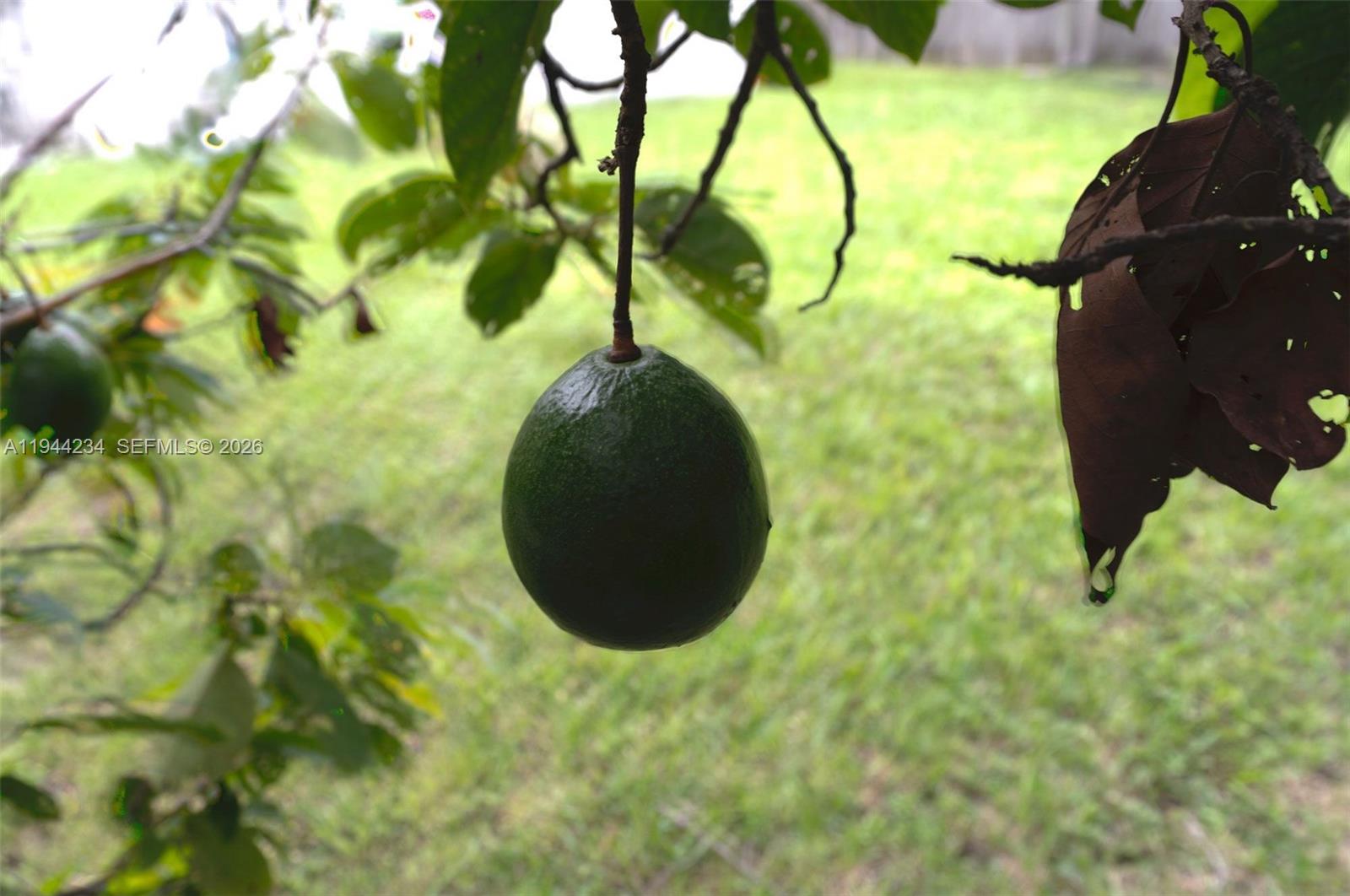 260 NW 133rd St North Miami, FL 33168