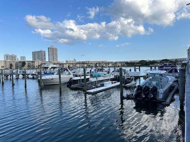 18041 Biscayne Blvd #904