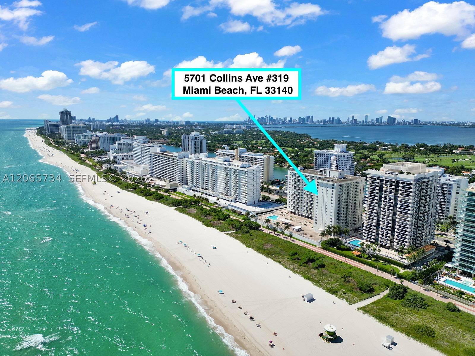 5701 Collins Ave #319