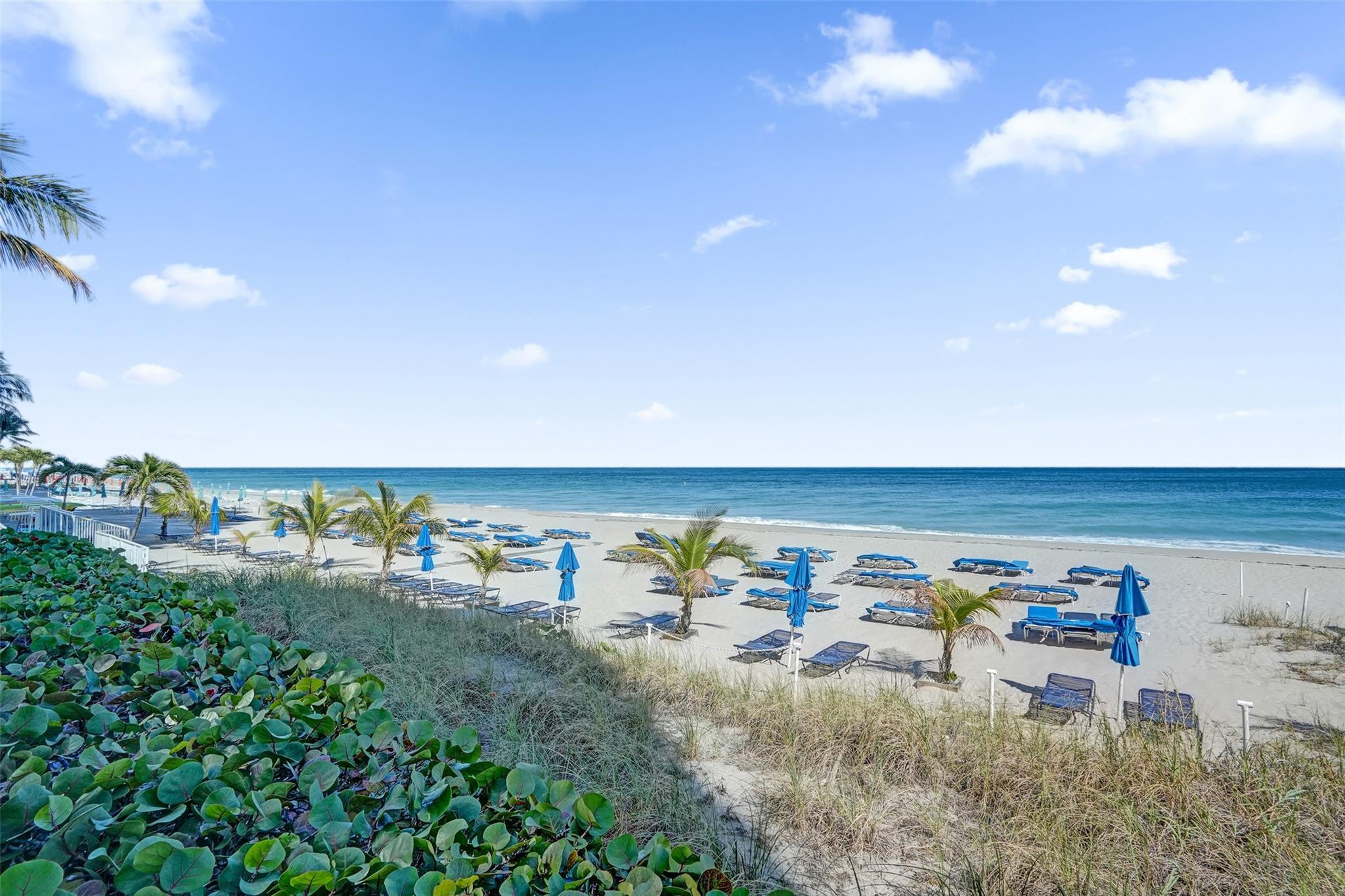 3700 Galt Ocean #607 Fort Lauderdale, FL 33308