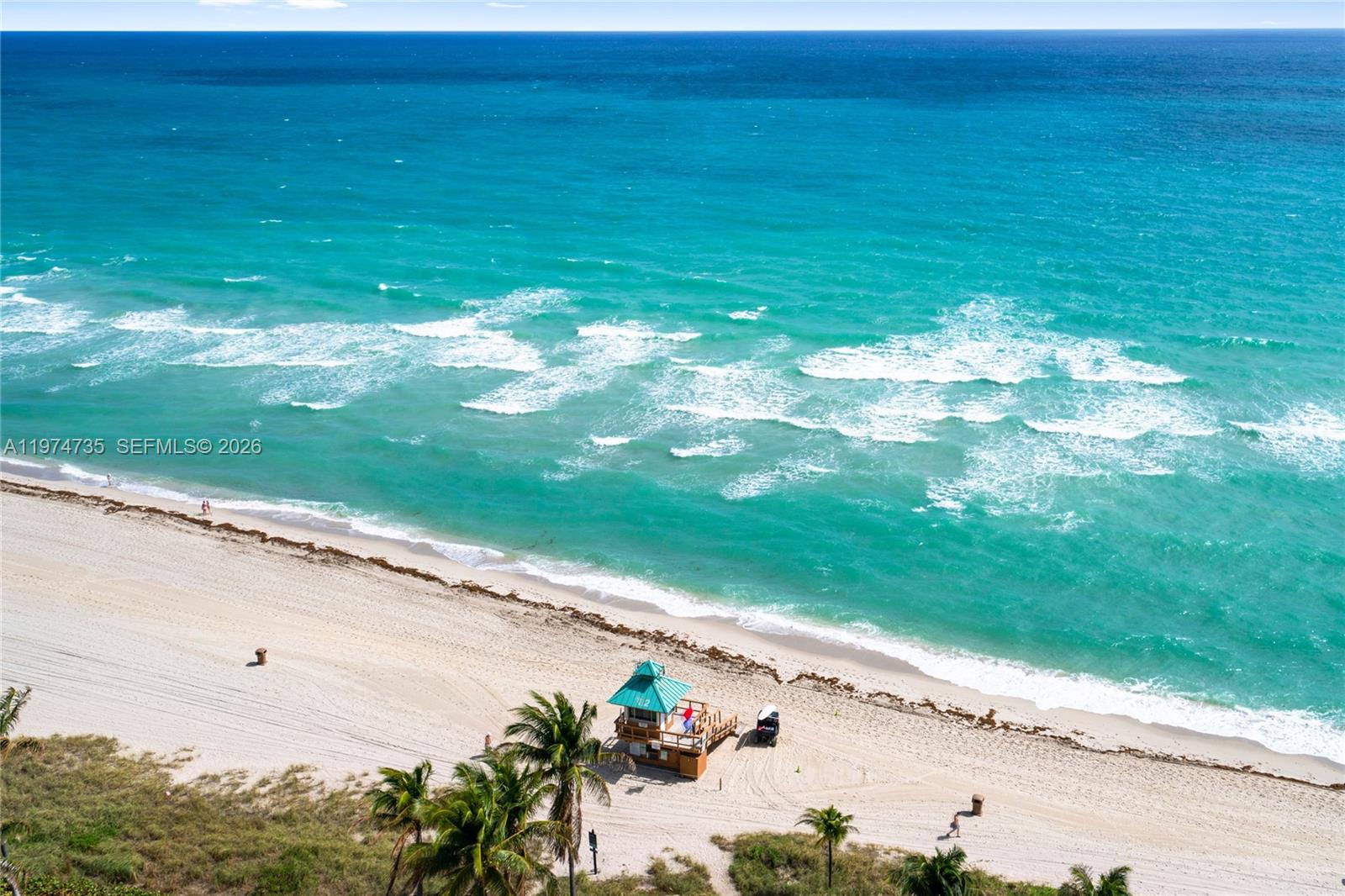 image Trump Royale32