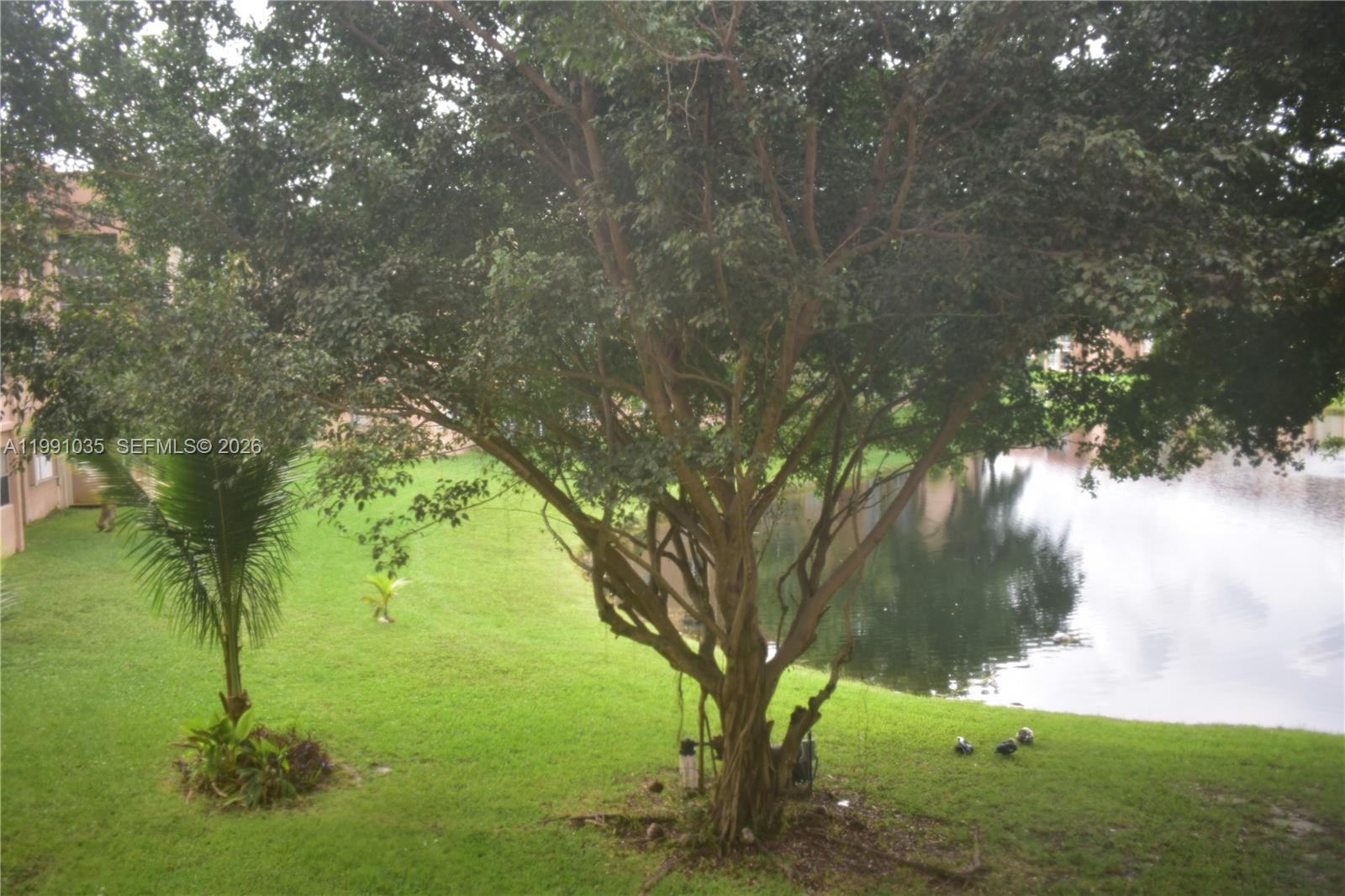 9800 Sunrise Lks Blvd #208 Sunrise, FL 33322